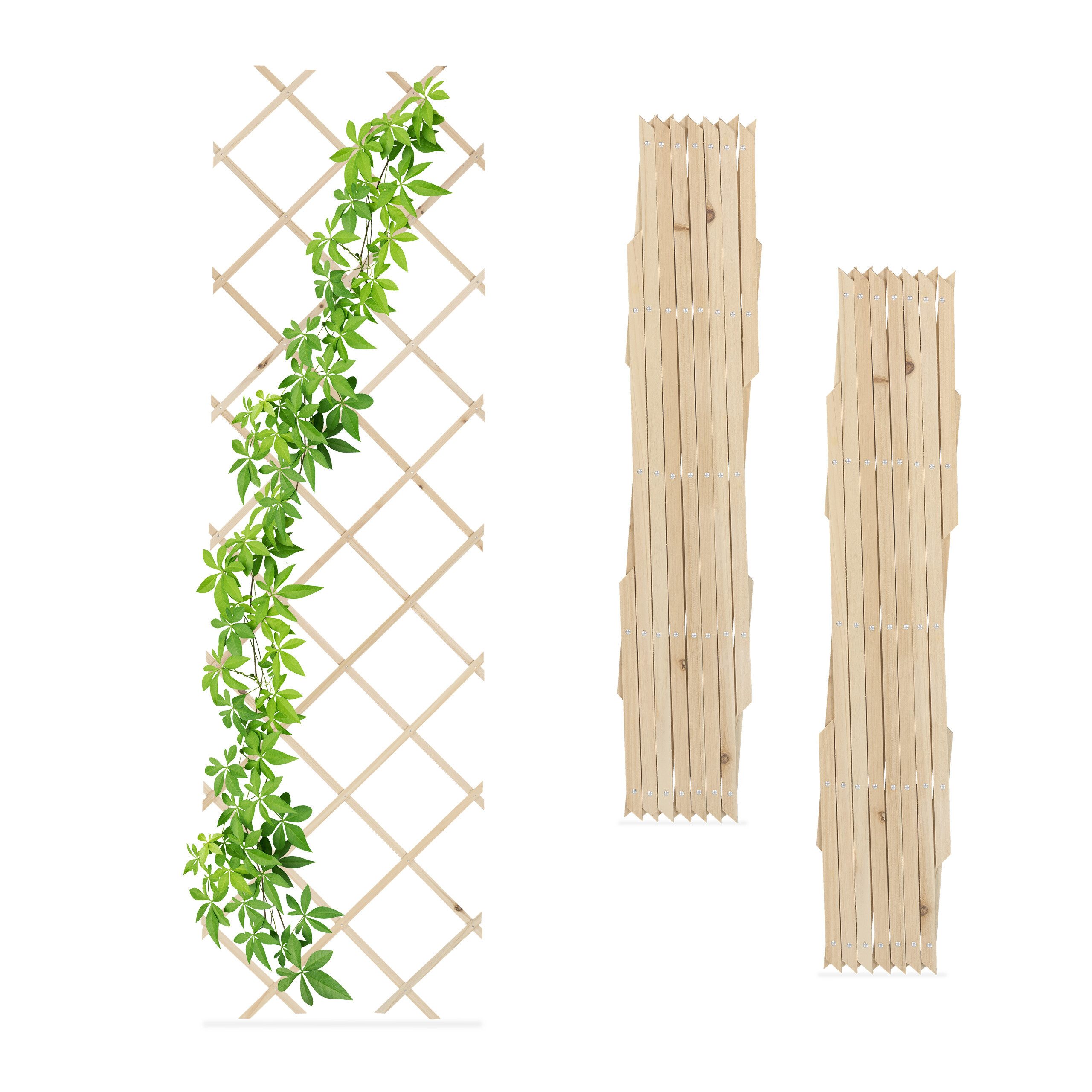 relaxdays Rankgitter Ausziehbares Rankgitter im 3er Set, natur günstig online kaufen