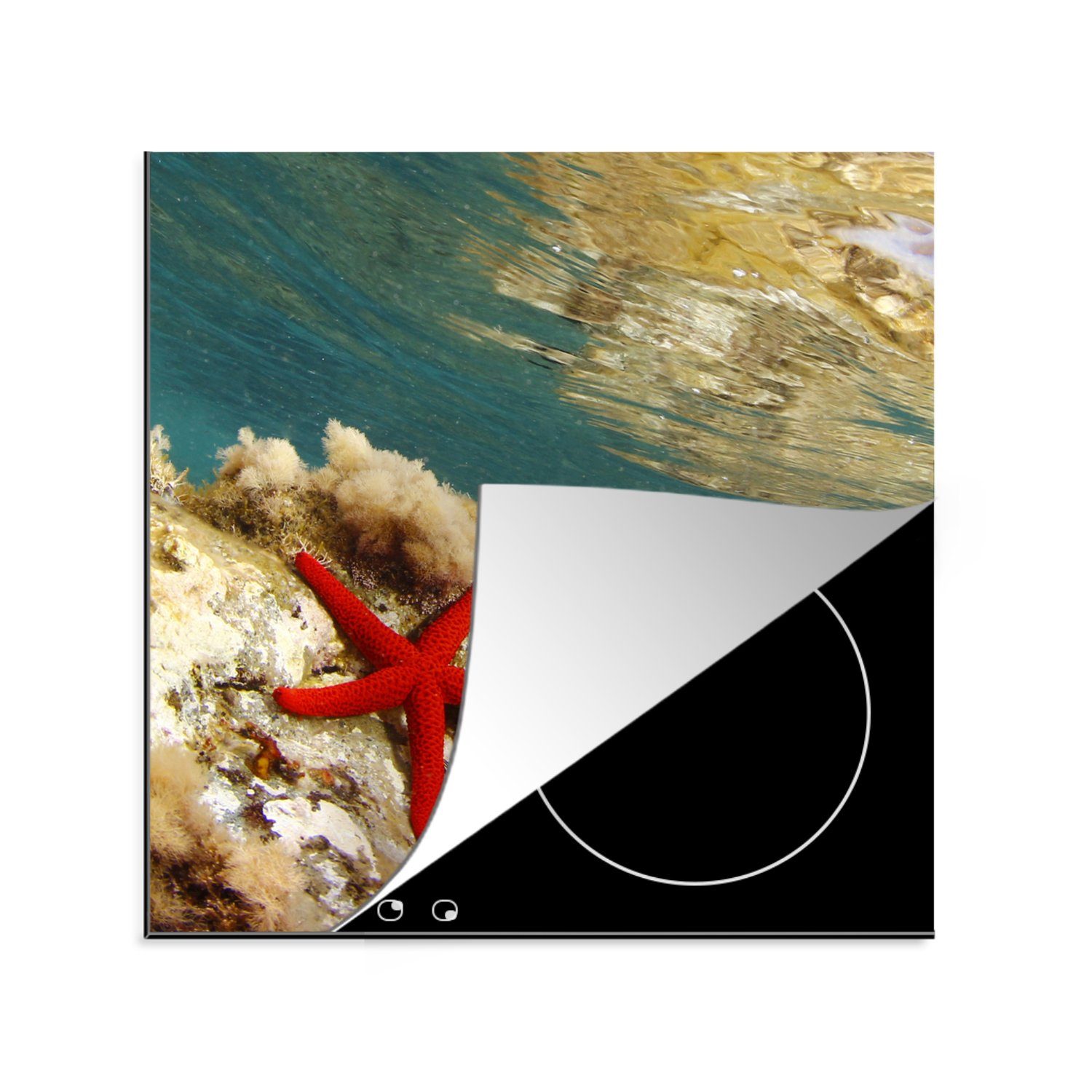 MuchoWow Herdblende-/Abdeckplatte Seestern - Koralle - Meer, Vinyl, (1 tlg), 78x78 cm, Ceranfeldabdeckung, Arbeitsplatte für küche