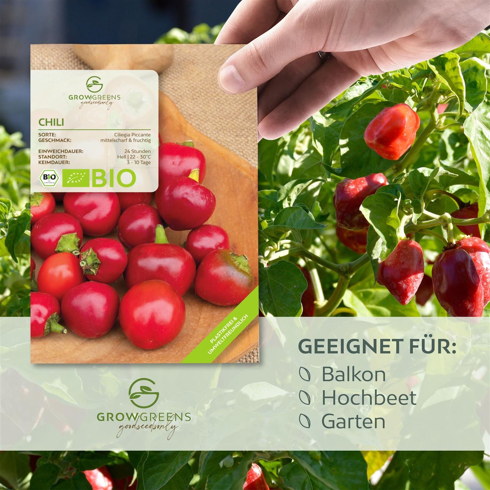 Thumbnail - Growgreens Gemüsesamen BIO Chili Samen (Ciliegia Piccante, 15.000 Scoville) - 10 Korn, Chili