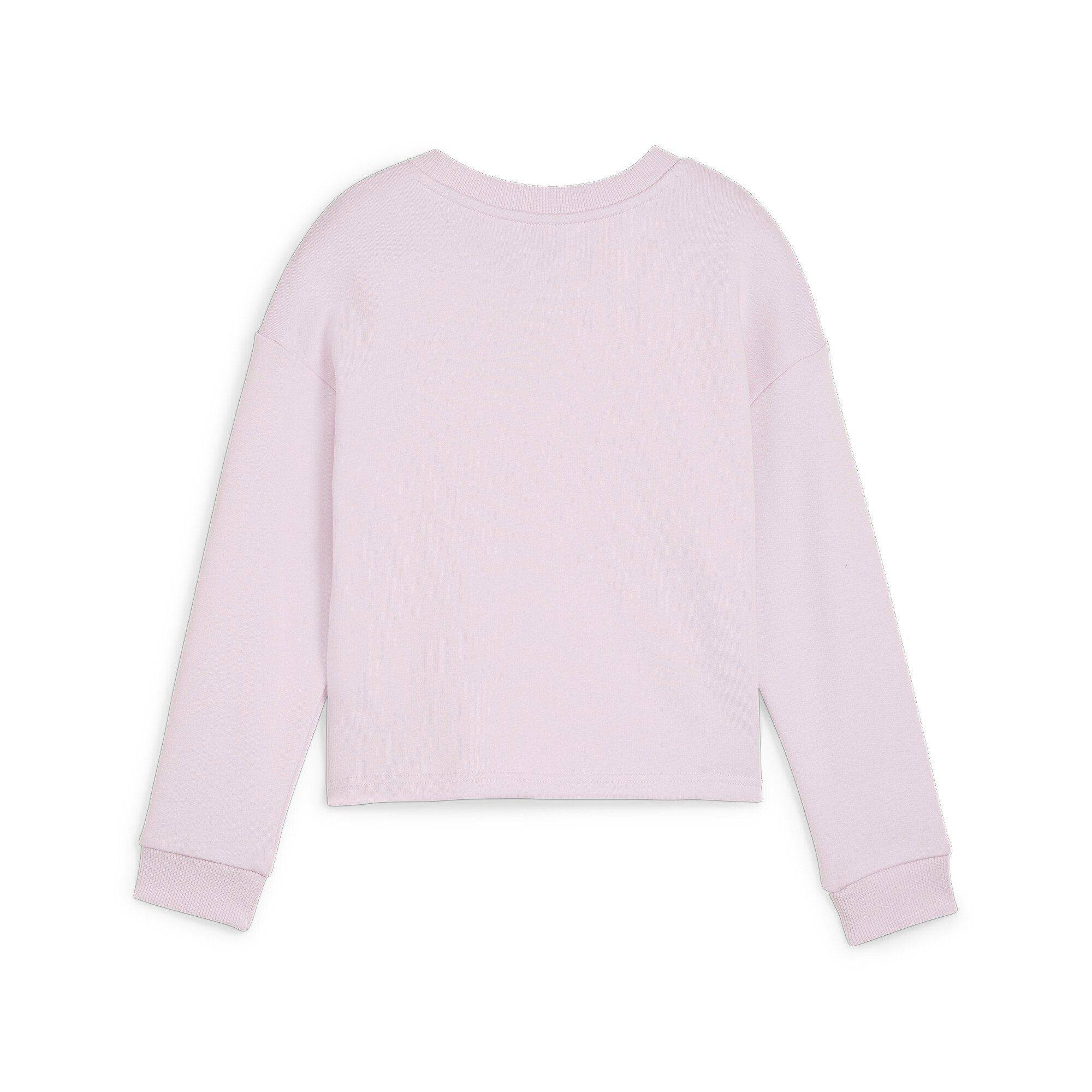 PUMA Kapuzensweatshirt POWER CREW TR G günstig online kaufen