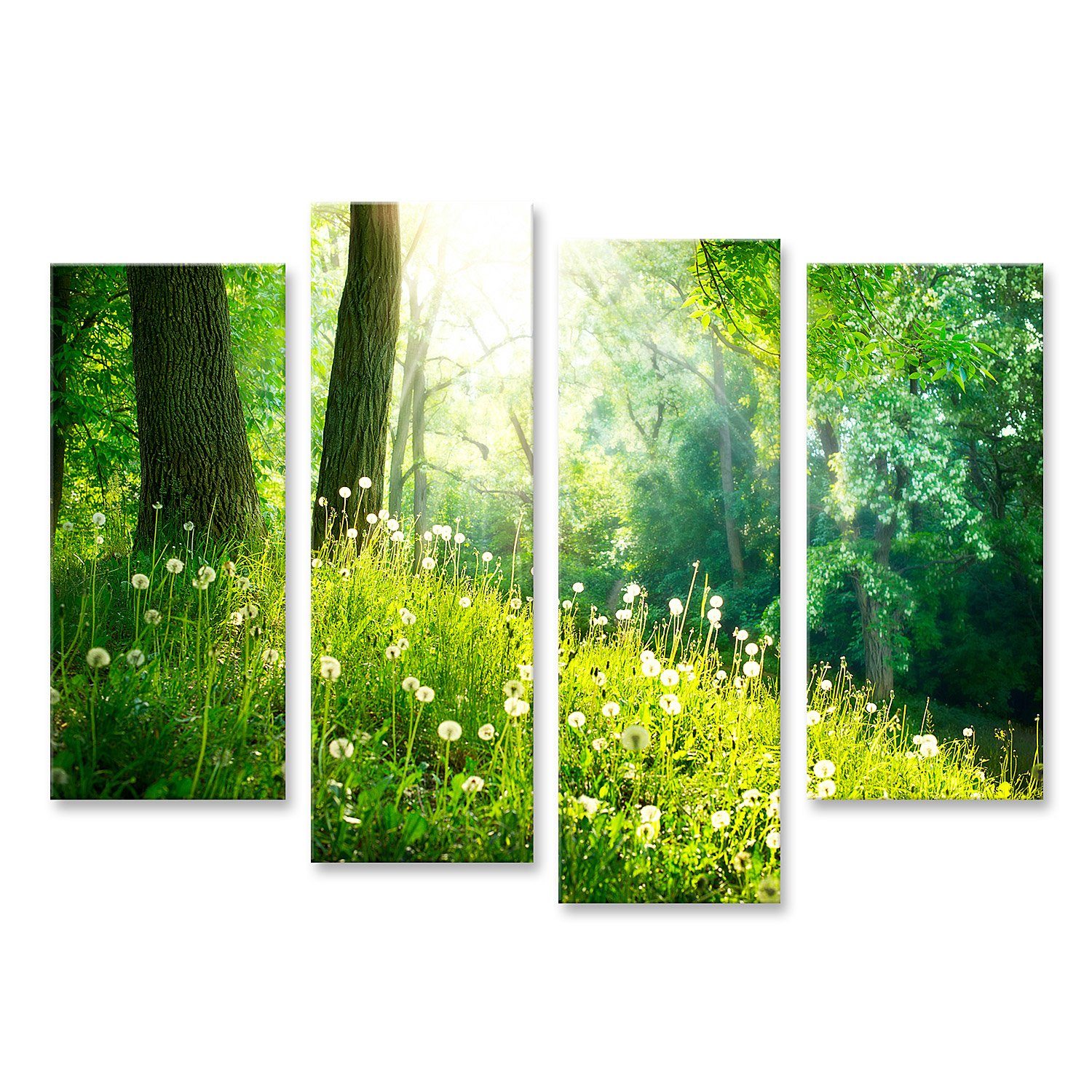 Leinwandbild Bild auf Leinwand Spring Nature Schöne Landschaft Grünes Gras Und Bäum