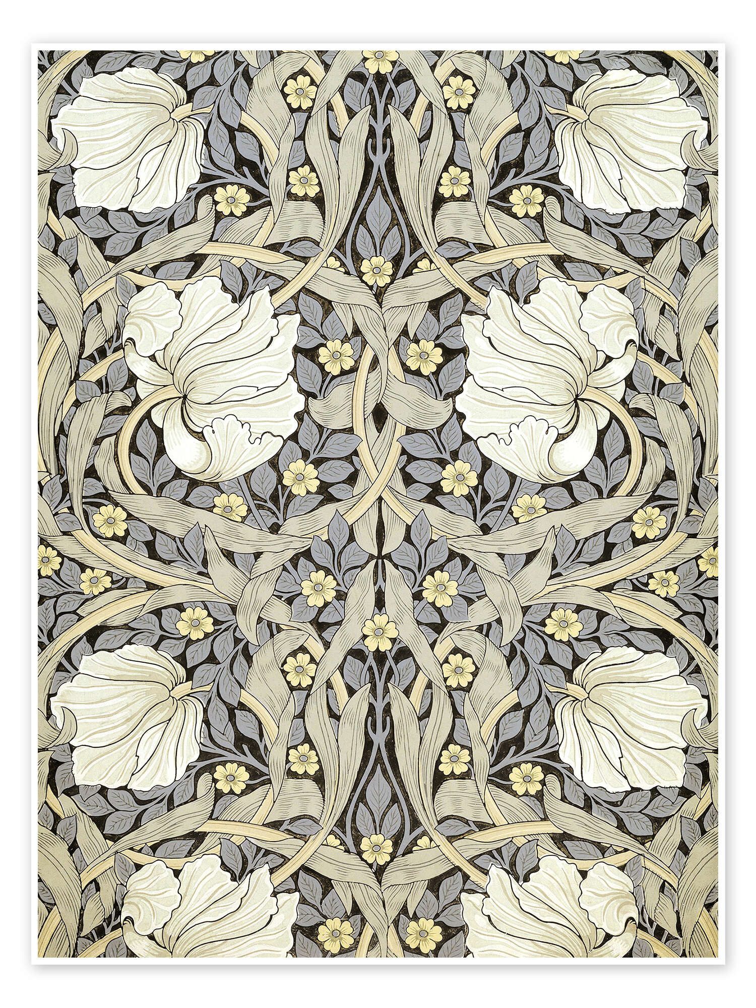 Posterlounge Wandbild Pimpernell, William Morris, erhältlich als Poster, Leinwandbild, Wandsticker oder Acrylglasbild