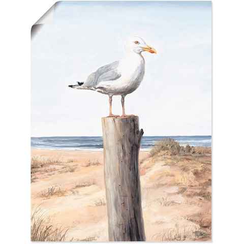 Artland Wandbild Möwe, Vögel (1 St), als Alubild, Outdoorbild, Leinwandbild, Poster, Wandaufkleber