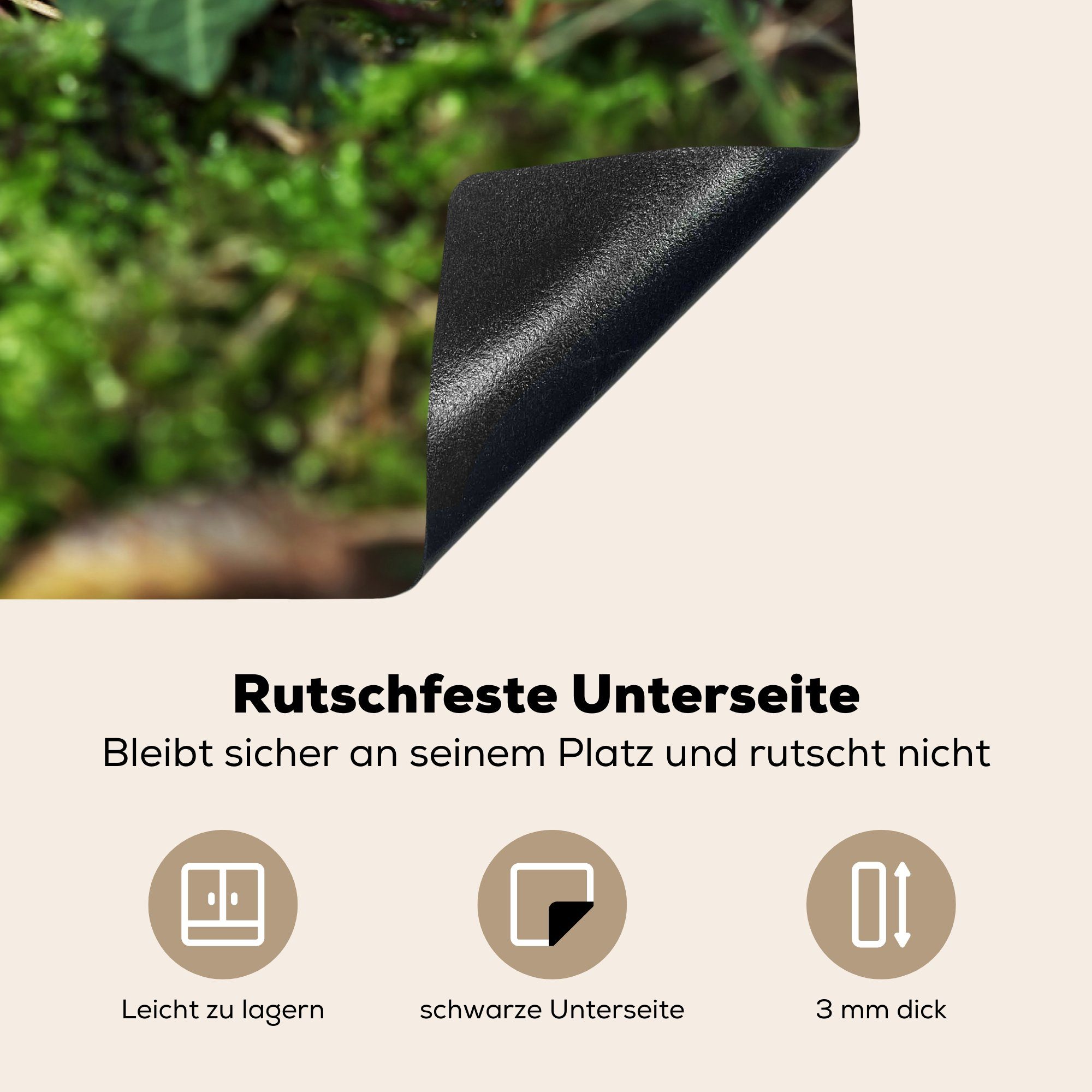 einem in die küche, Induktionskochfeld Pilze Ceranfeldabdeckung Herdblende-/Abdeckplatte cm, tlg), für Vinyl, 81x52 Schutz Wald, MuchoWow (1