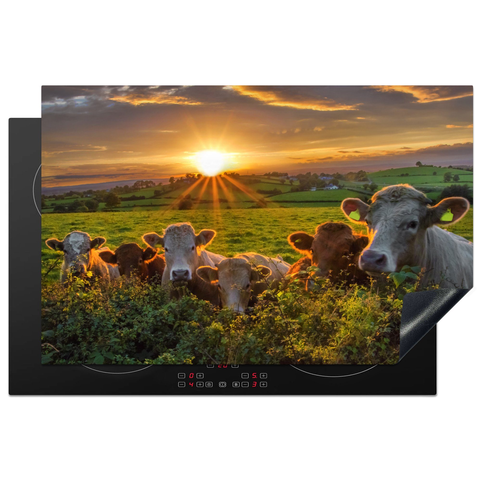 MuchoWow Herdblende-/Abdeckplatte Kühe in Irland, Vinyl, (1 tlg), 81x52 cm, Induktionskochfeld Schutz für die küche, Ceranfeldabdeckung