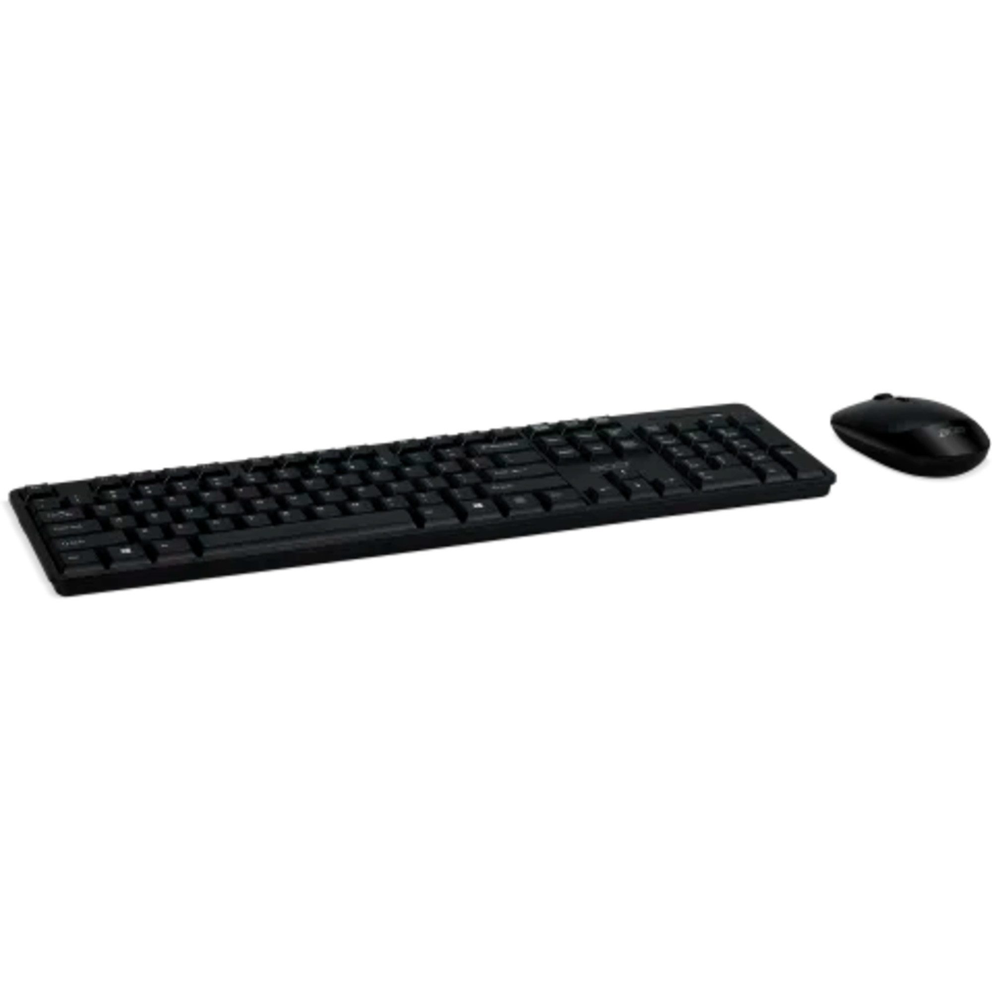 Acer Combo 100 Tastatur