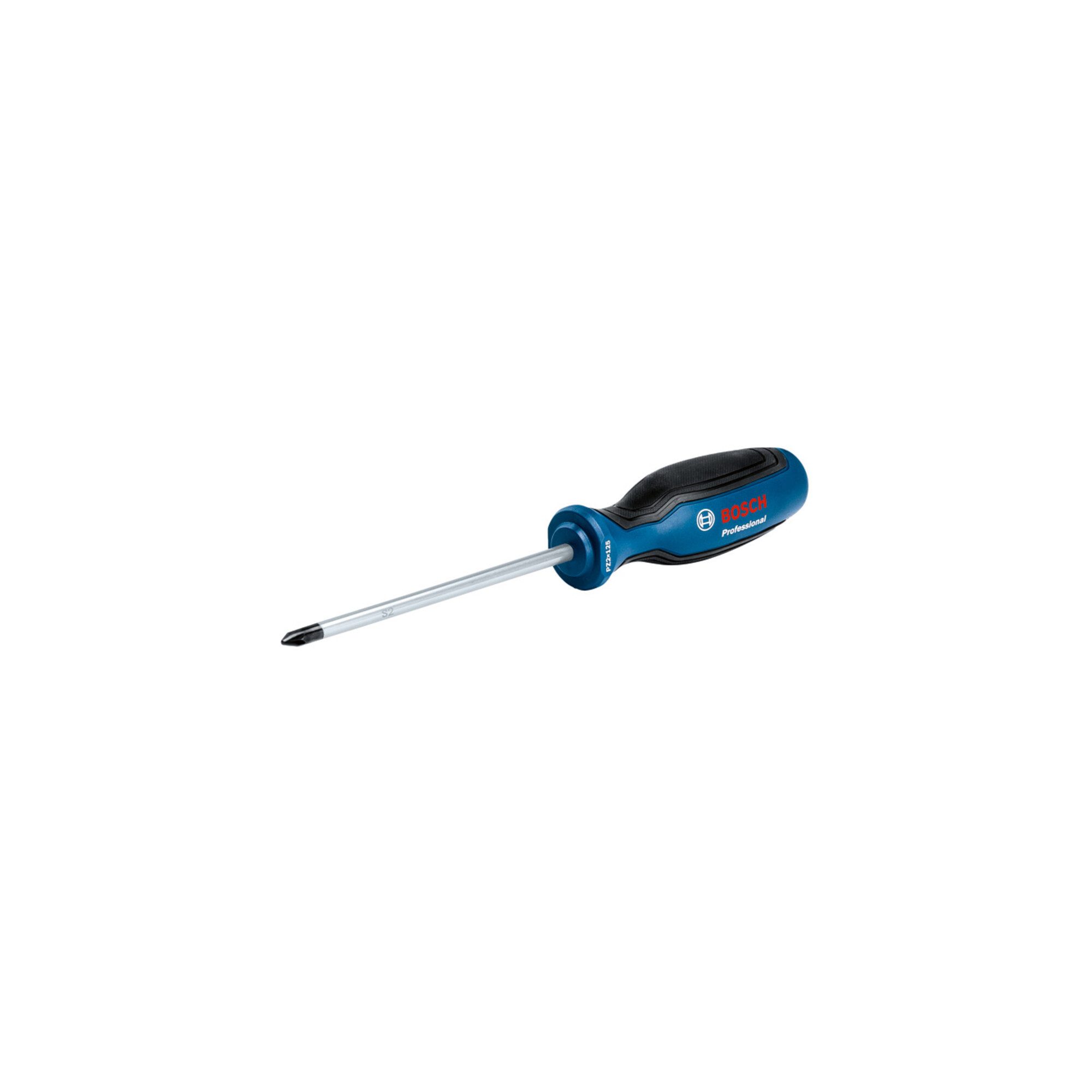 Bosch Professional Schleifscheibe Bosch Schrauber Screwdriver PZ 2x125