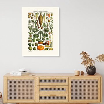 Posterlounge Acrylglasbild Patruschka, Gemüse Vintage (französisch), Wohnzimmer Vintage Grafikdesign