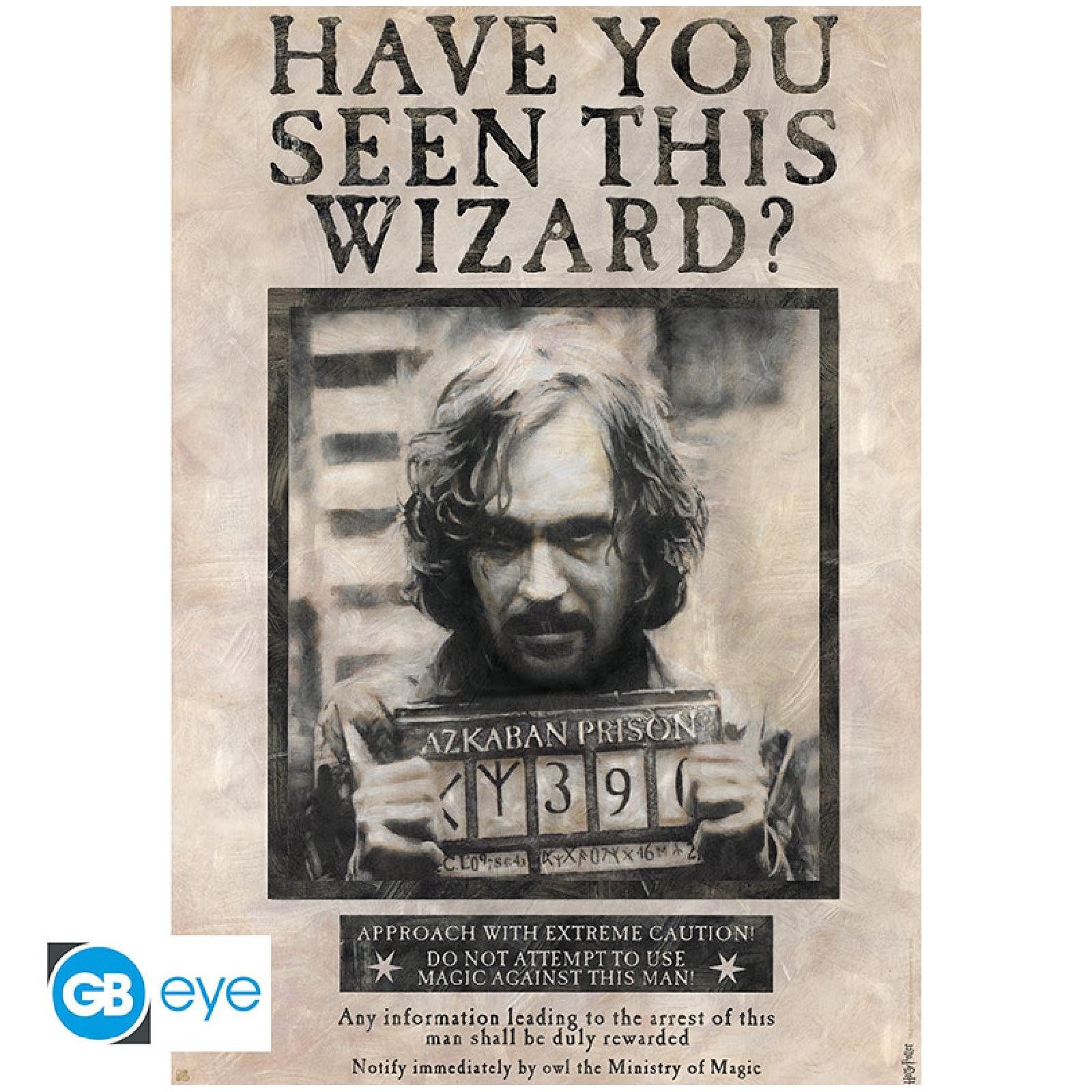 ABYstyle Poster HARRY POTTER - Poster günstig online kaufen