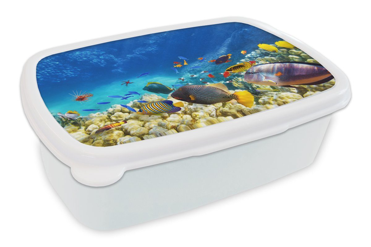 MuchoWow Lunchbox Meer - Fische - Korallen - Unterwasserwelt, Kunststoff, (2-tlg), Brotbox für Kinder und Erwachsene, Brotdose, für Jungs und Mädchen weiß