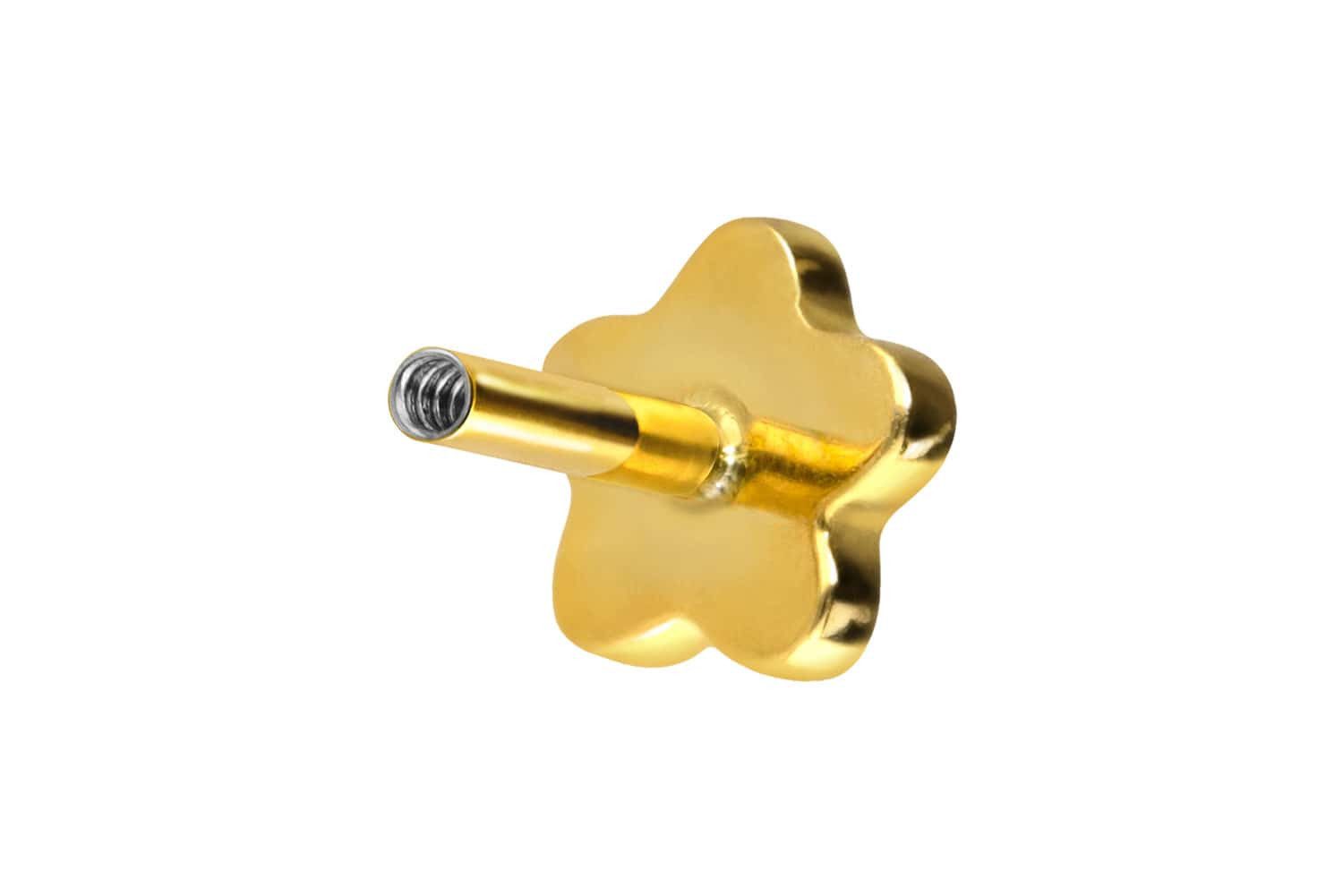 PIERCINGLINE Piercing-Set Titan Labret mit Innengewinde günstig online kaufen