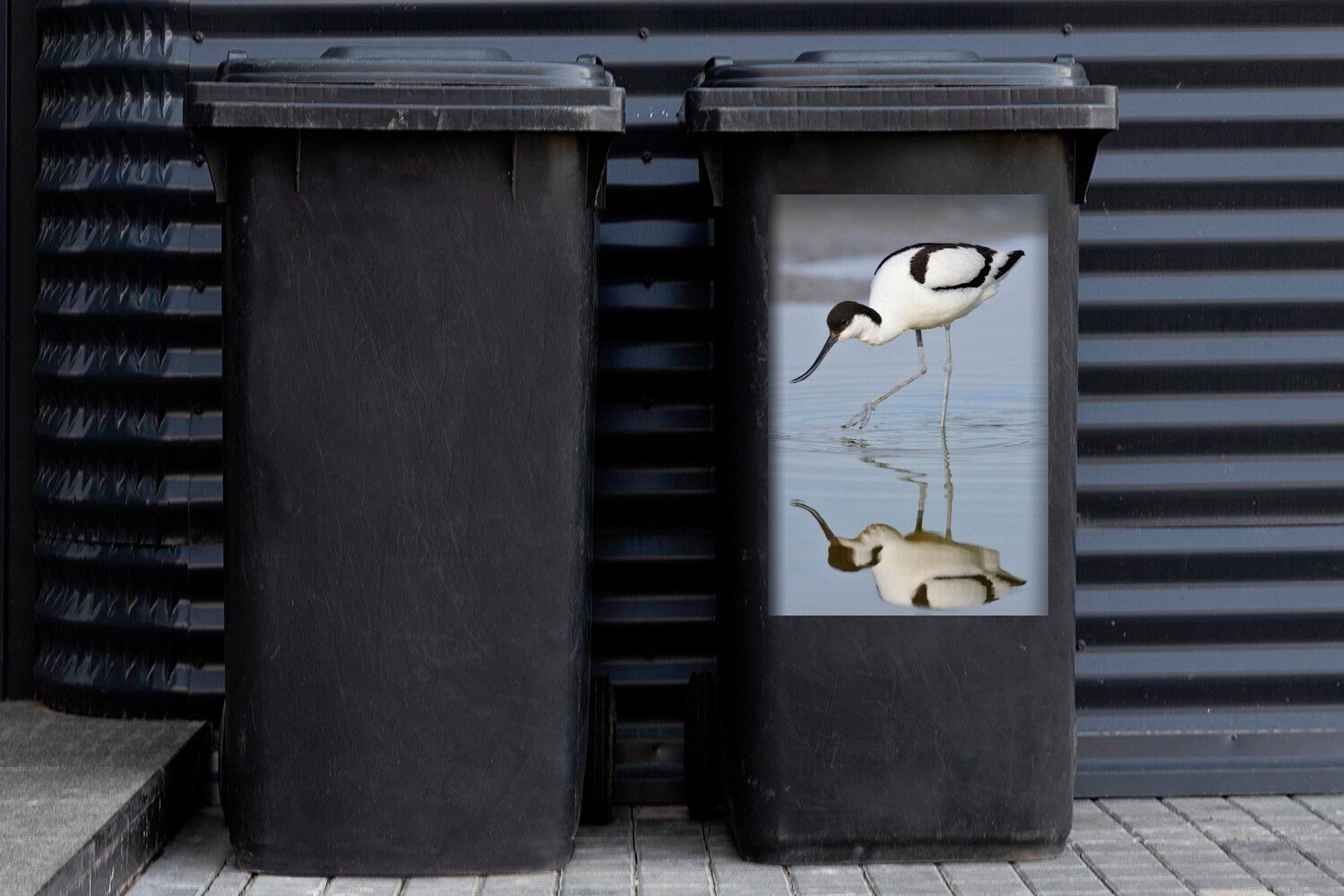 St), Mülltonne, im Mülleimer-aufkleber, Sticker, Ein Nahrung Wandsticker sucht MuchoWow Container, Säbelschnäbler nach Wasser (1 Abfalbehälter