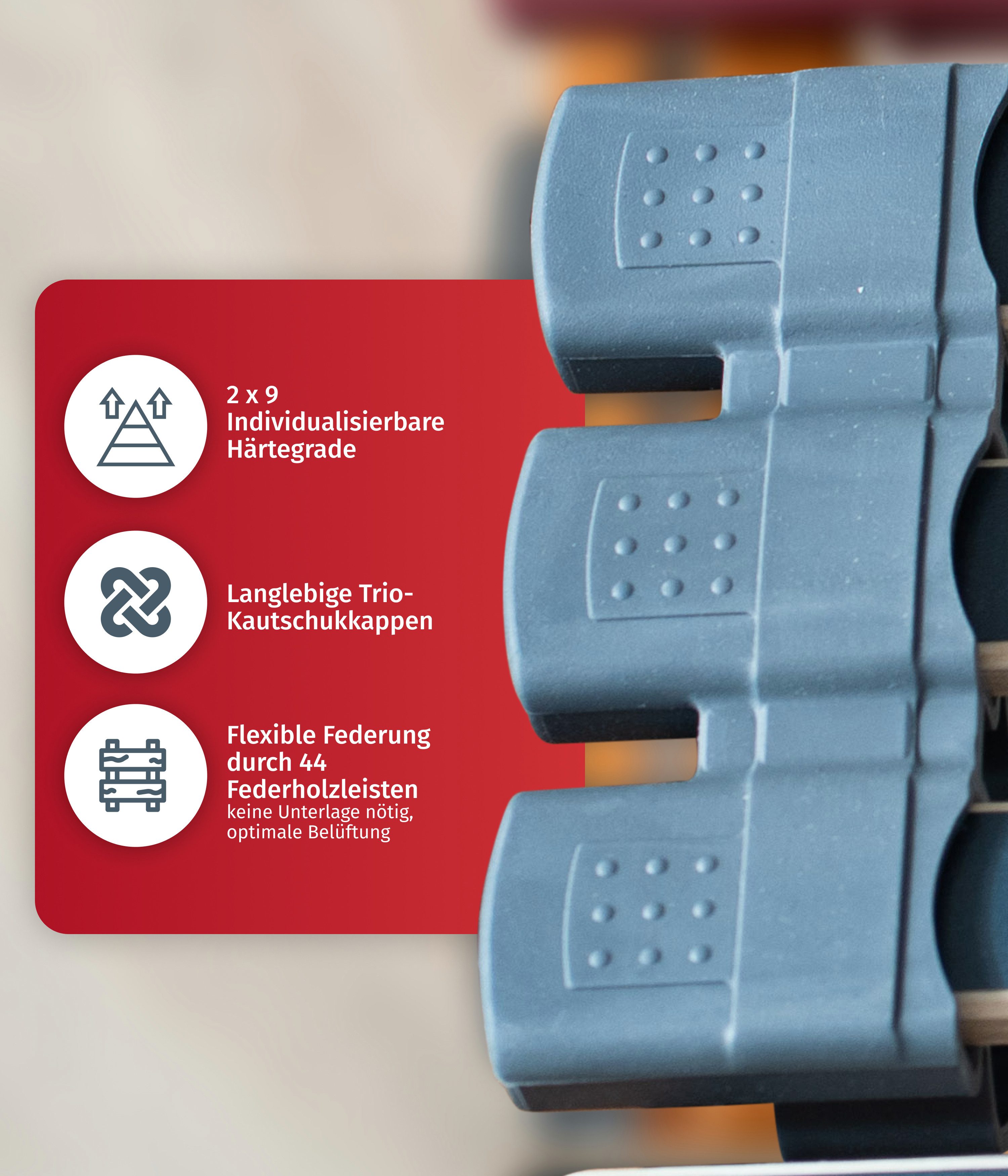 Lattenrost Rhodos, FMP Matratzenmanufaktur, Kopfteil nicht verstellbar, Fußteil nicht verstellbar, 7 Zonen Lattenrost, 44 Federholzleisten, nicht verstellbar