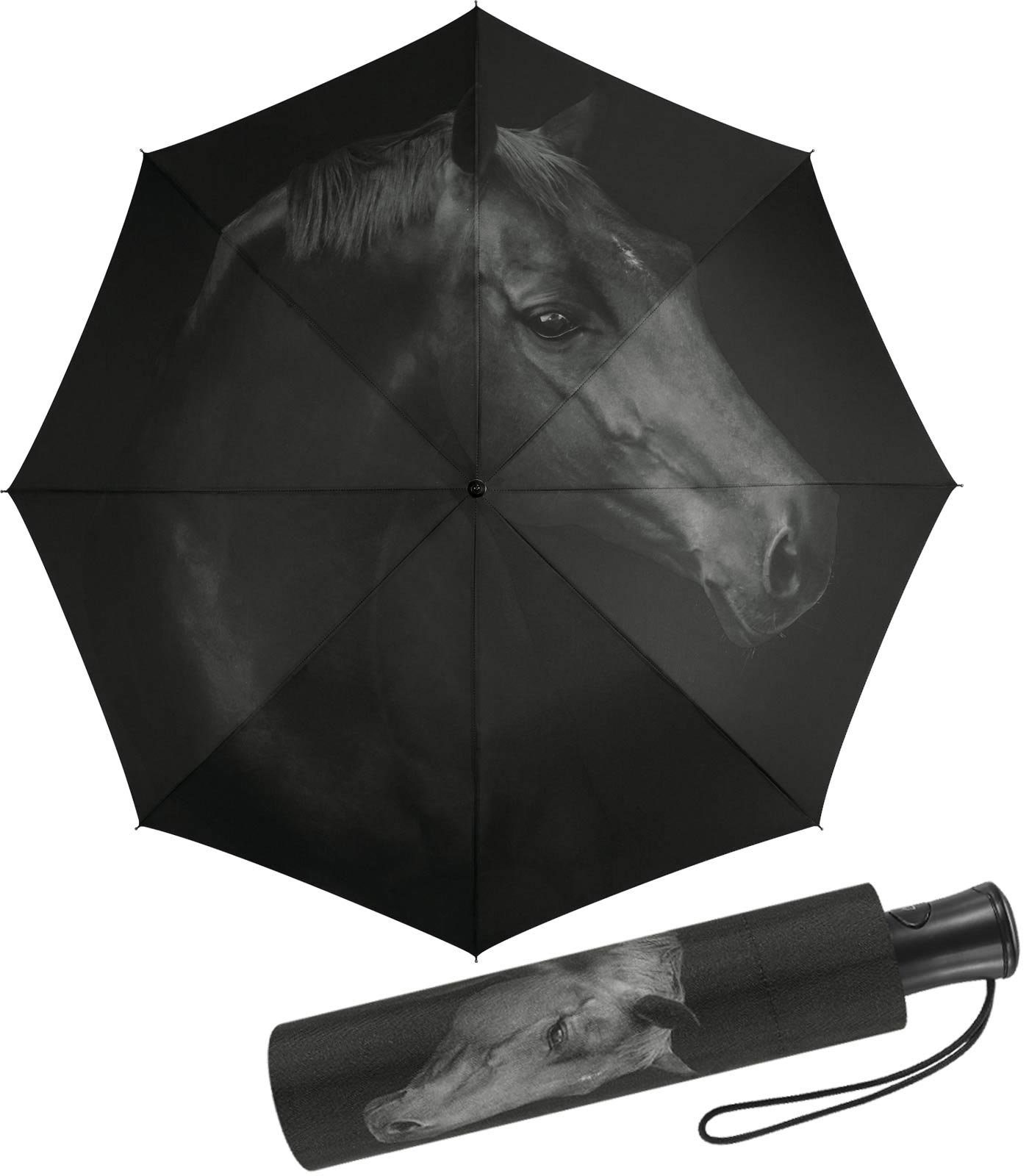 HAPPY RAIN Langregenschirm schöner Damen-Regenschirm mit Auf-Automatik, mit wunderschönem schwarzen Pferde-Motiv