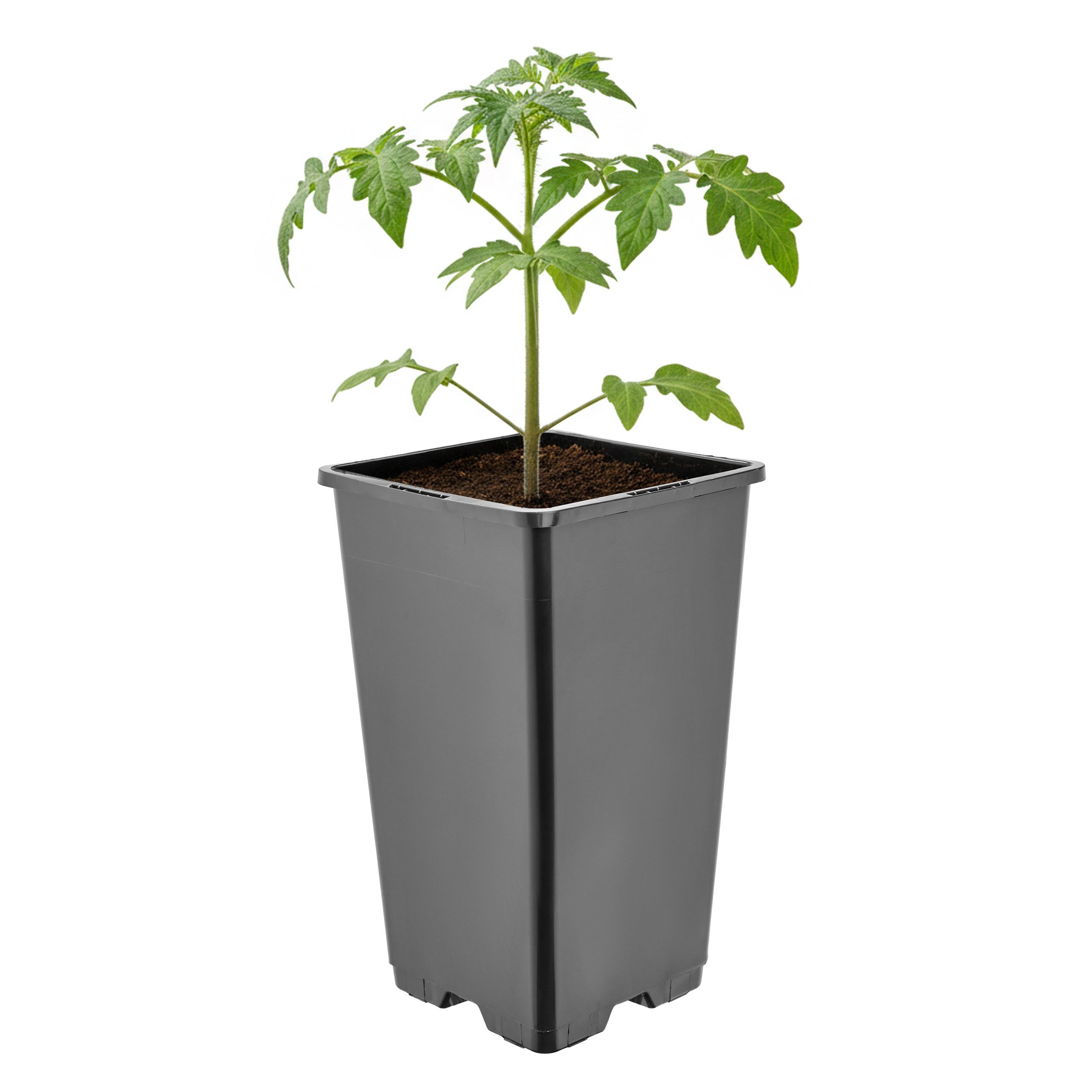 Garronda Blumentopf Kunststoff hoch eckig mit Drainagelöchern für Garten GD-0201 (1 St)