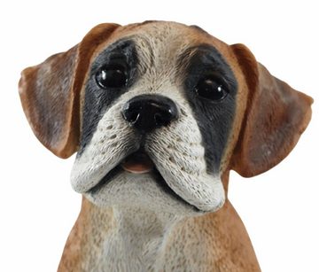 Castagna Tierfigur Deko Figur Hund Boxer Welpe Hundefigur sitzend Kollektion Castagna aus Resin Höhe 24 cm