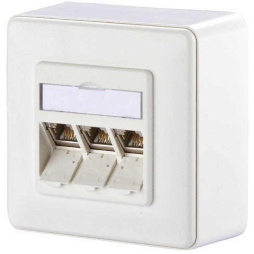 Netzwerkdose Netzwerk-Adapter