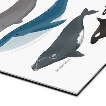 Posterlounge XXL-Wandbild Sandy Lohß, Wale, Klassenzimmer Illustration