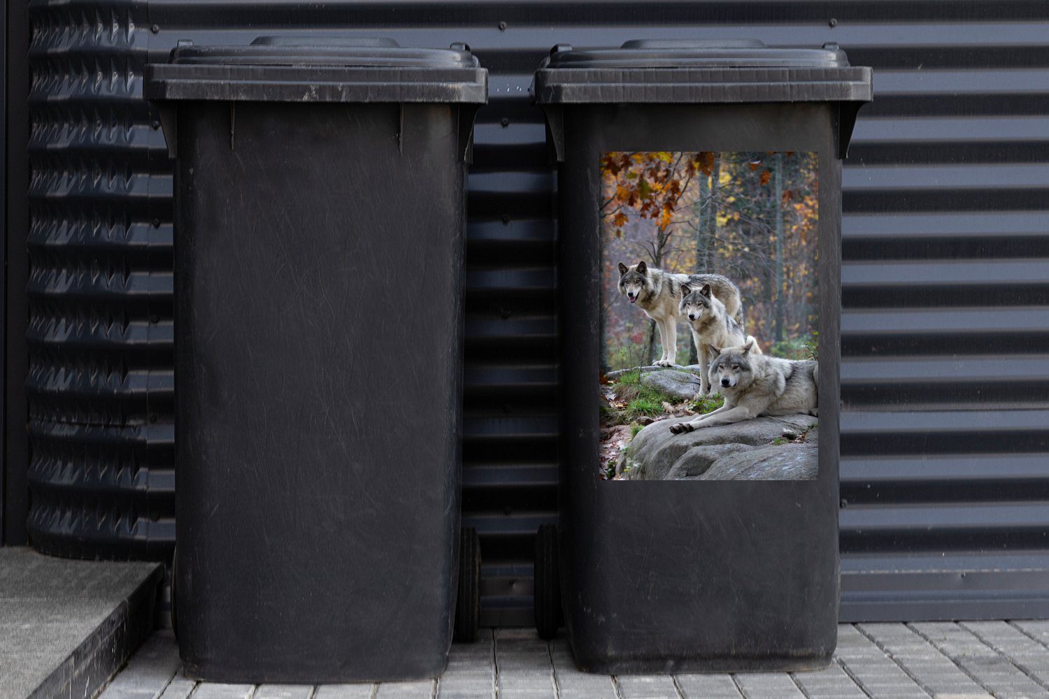 Abfalbehälter St), (1 - Wölfe Wandsticker MuchoWow Container, Mülltonne, - Mülleimer-aufkleber, Sticker, Wald Fels