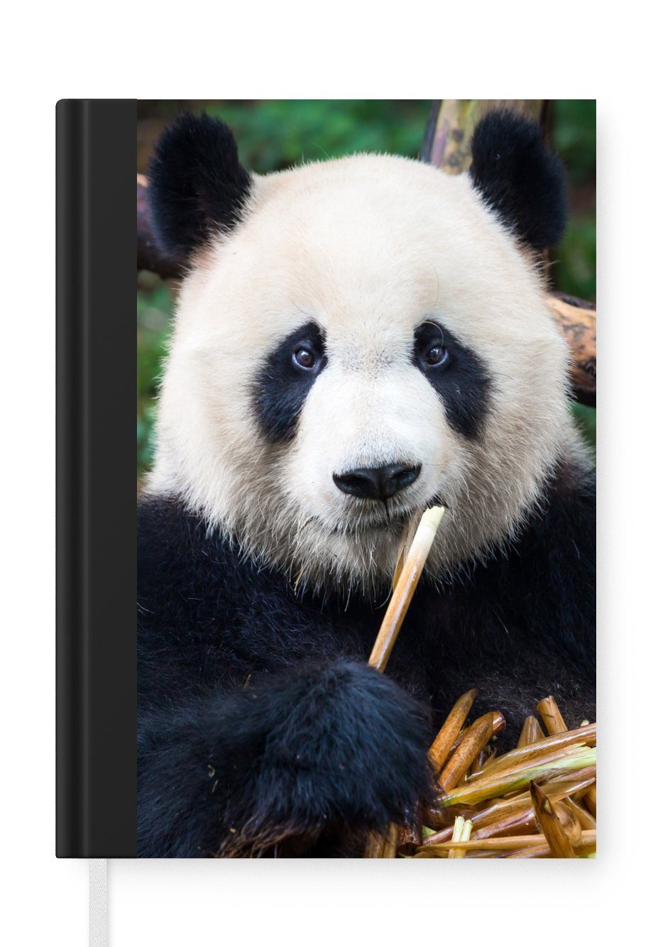 MuchoWow Notizbuch Panda - Bambus - Natur, Journal, Merkzettel, Tagebuch, Notizheft, A5, 98 Seiten, Haushaltsbuch