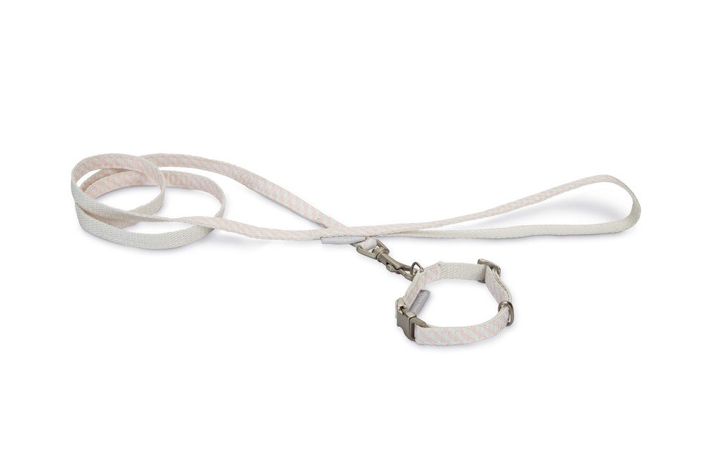 Beeztees Führleine Welpenset Rina Puppy Set Halsband+Leine