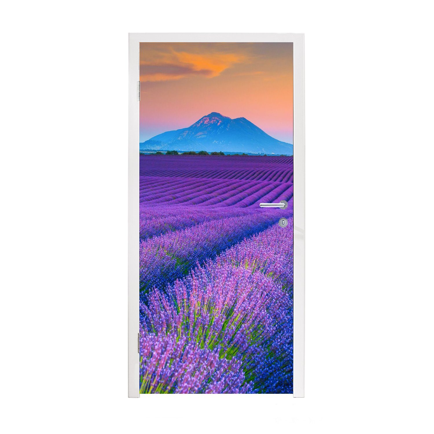 MuchoWow Türtapete Lavendel - Lila - Blumen, Matt, bedruckt, (1 St), Fototapete für Tür, Türaufkleber, 75x205 cm