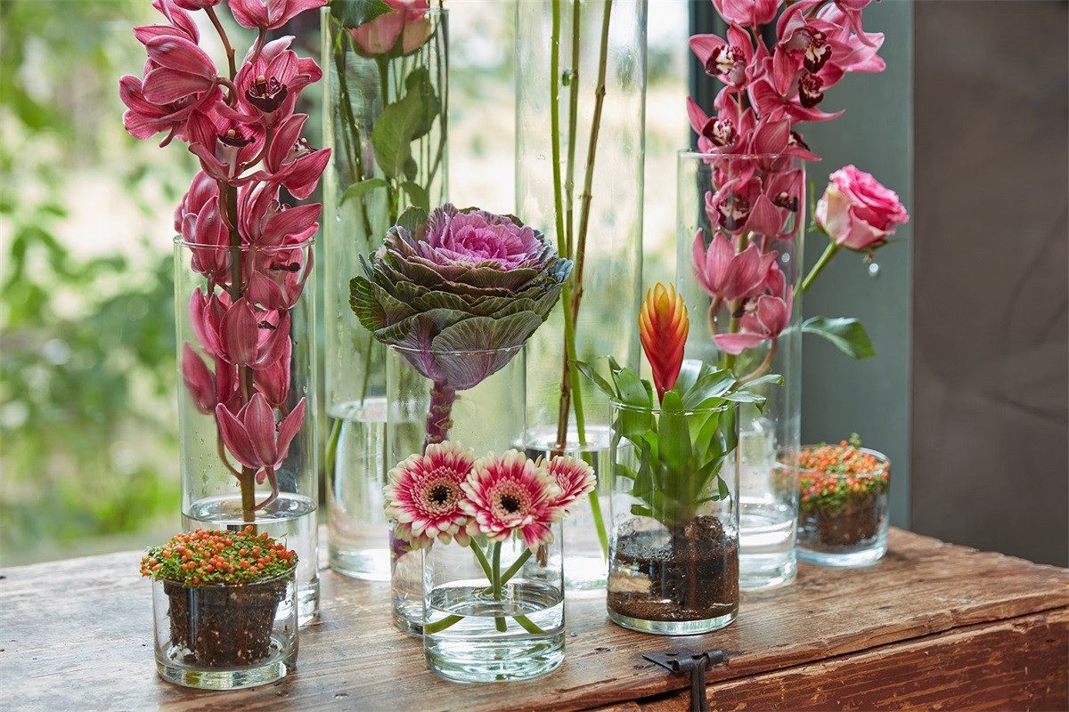 Hakbijl Glass Dekovase ZYLINDER günstig online kaufen