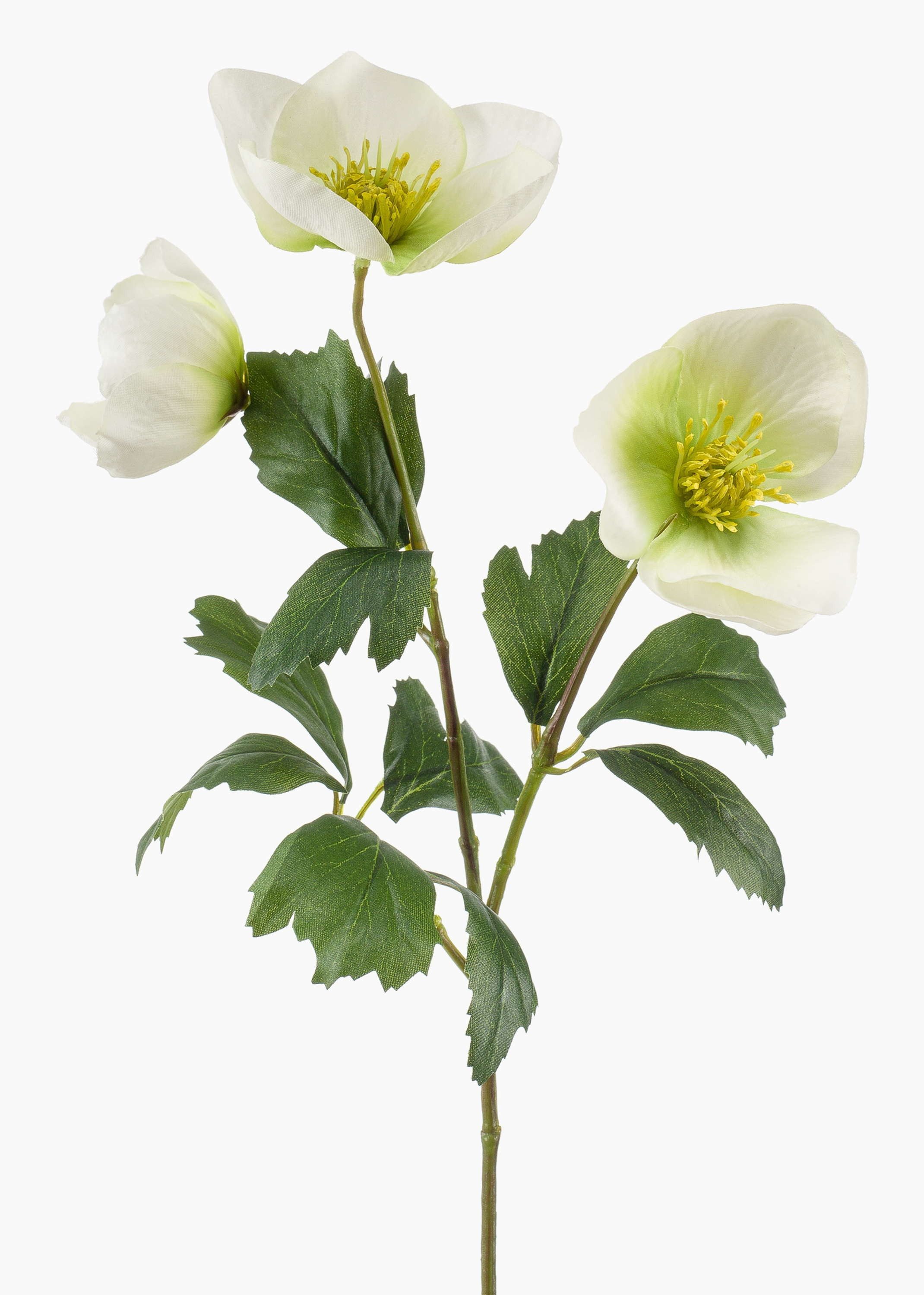 Kunstzweig Christrose künstlich MERUEL, weiß-grün, 45cm