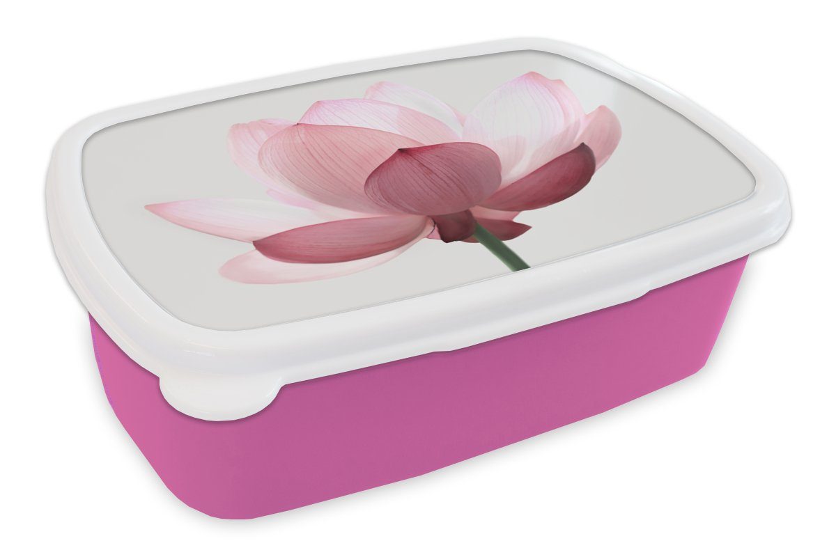 MuchoWow Lunchbox Blumen - Rosa - Natur - Botanisch, Kunststoff, (2-tlg), Brotbox für Erwachsene, Brotdose Kinder, Snackbox, Mädchen, Kunststoff