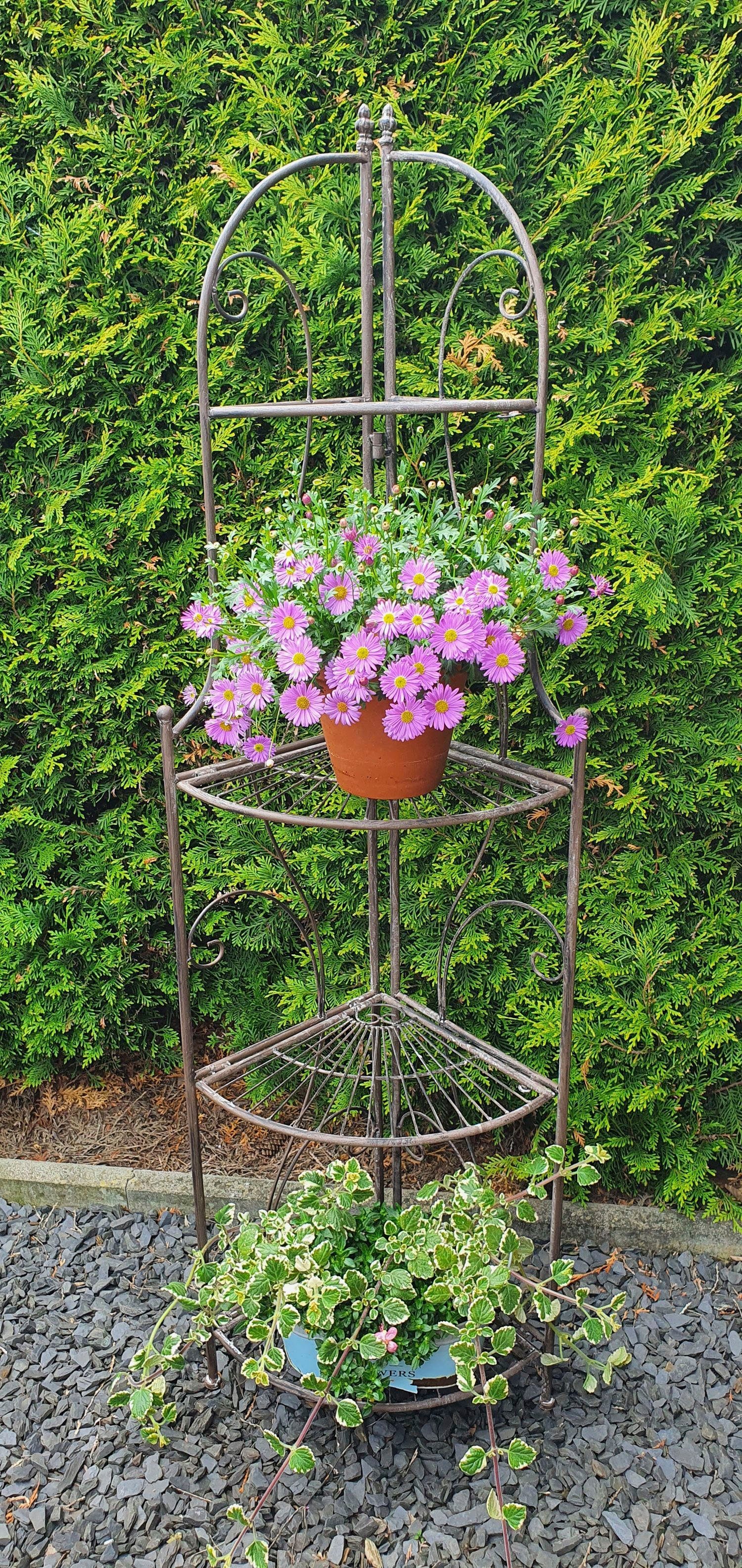 Ambiente Haus Standregal Eckregal mit 4 Böden - Antikbraun 157 cm, 1-tlg.