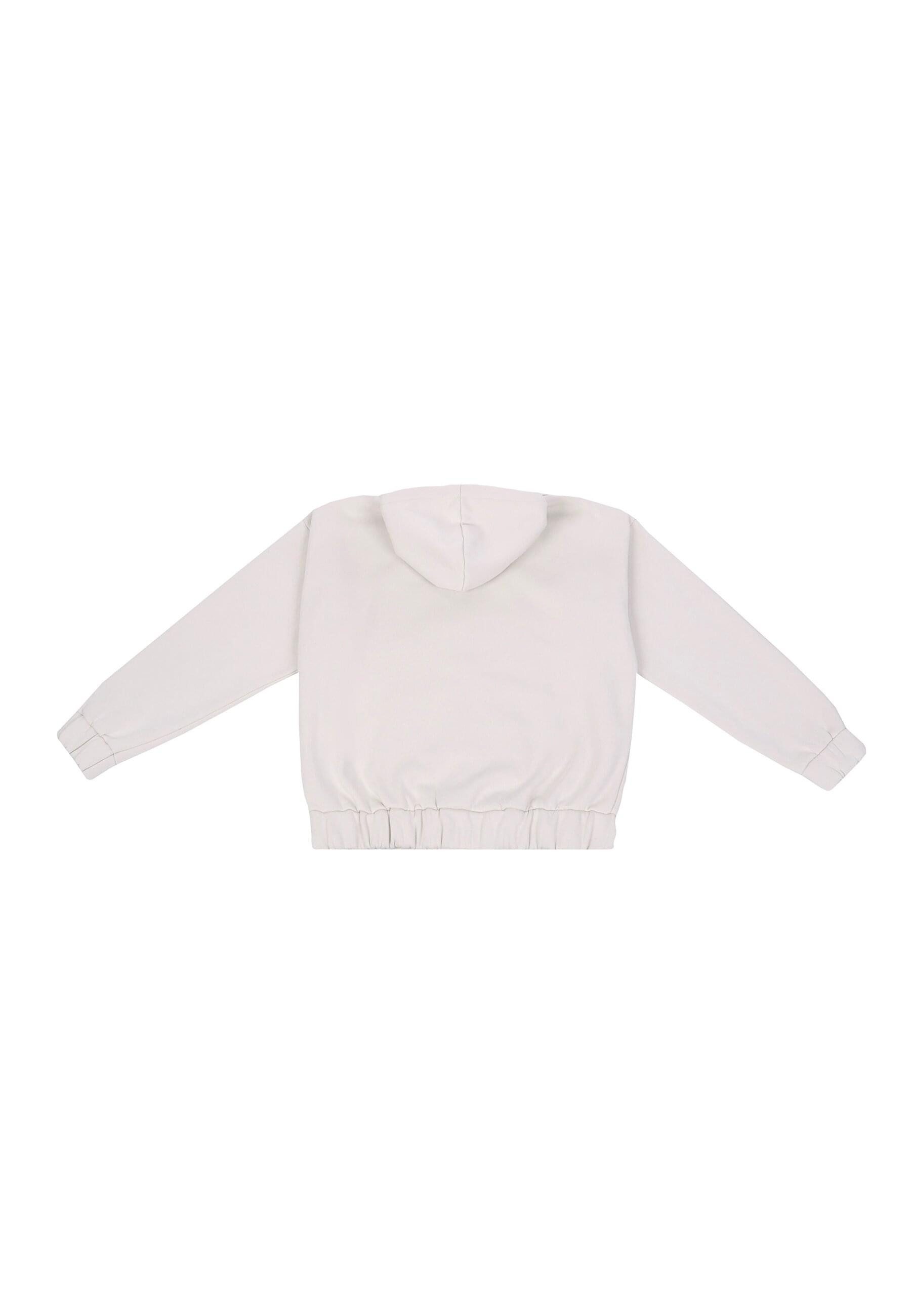 Dropsize Sweatjacke Dropsize HEAVY OVERSIZE EMBO günstig online kaufen