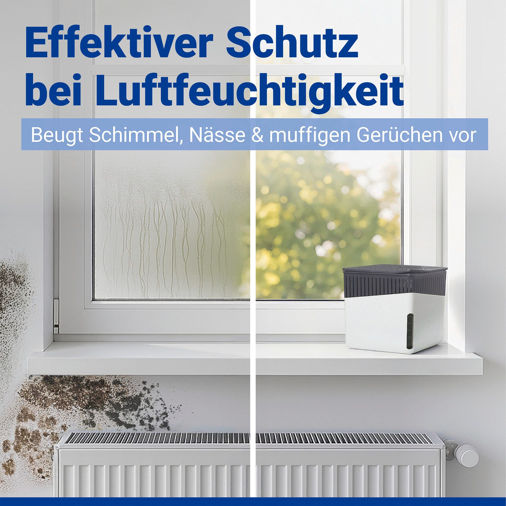 WENKO Luftentfeuchter Cube, für 80 m³ Räume, 2 x 1000g günstig online kaufen