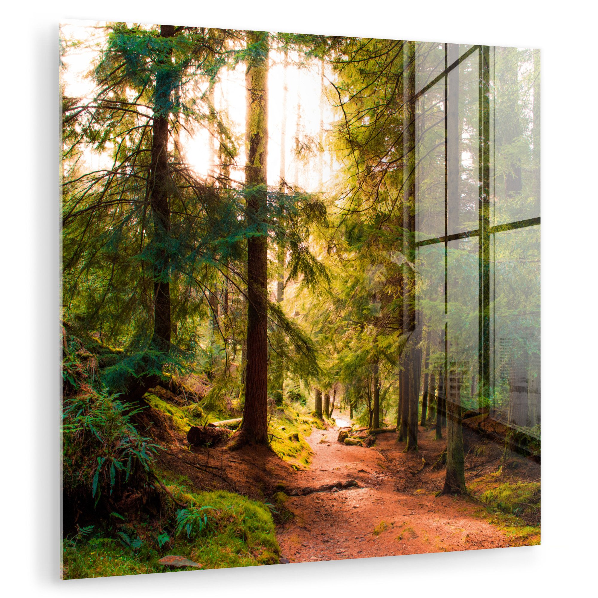 MuchoWow Acrylglasbild Wald - Weg - günstig online kaufen