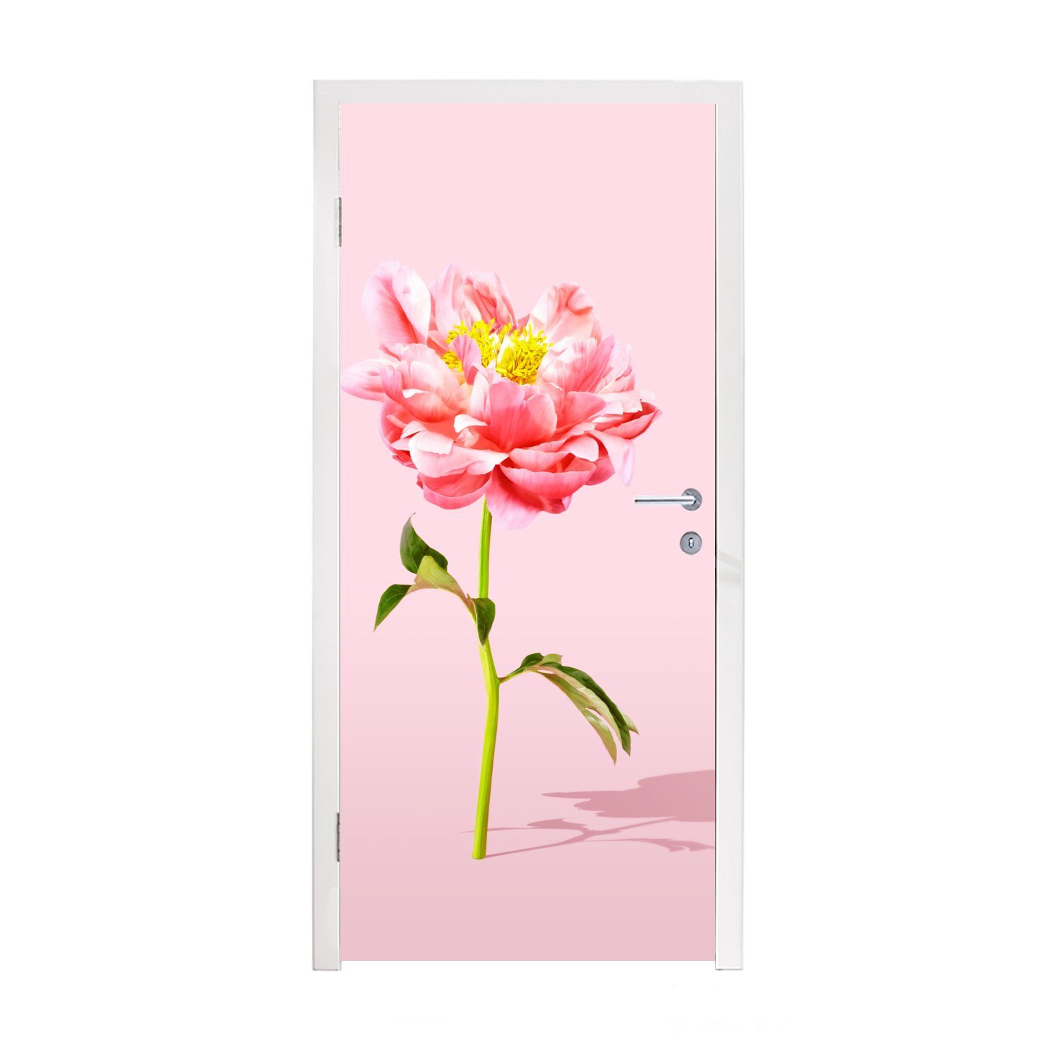 MuchoWow Türtapete Rosa Pfingstrose auf rosa (1 Fototapete für Hintergrund, Türaufkleber, bedruckt, Matt, 75x205 cm St), Tür, einem