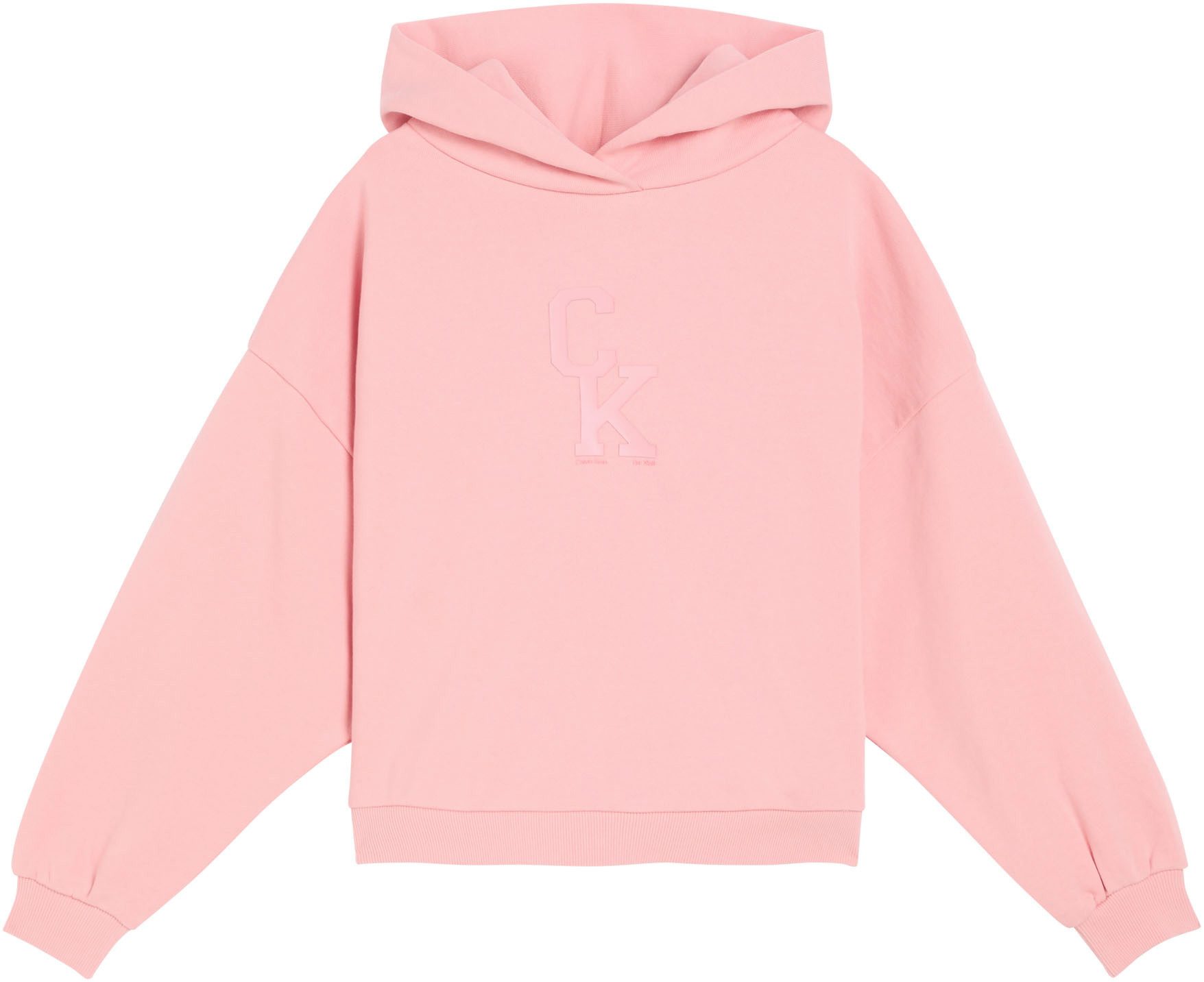 Calvin Klein Jeans Kapuzensweatshirt HOODED SWEATSHIRT Regular fit für Kinder mit Kapuze – Bild 4 von 5