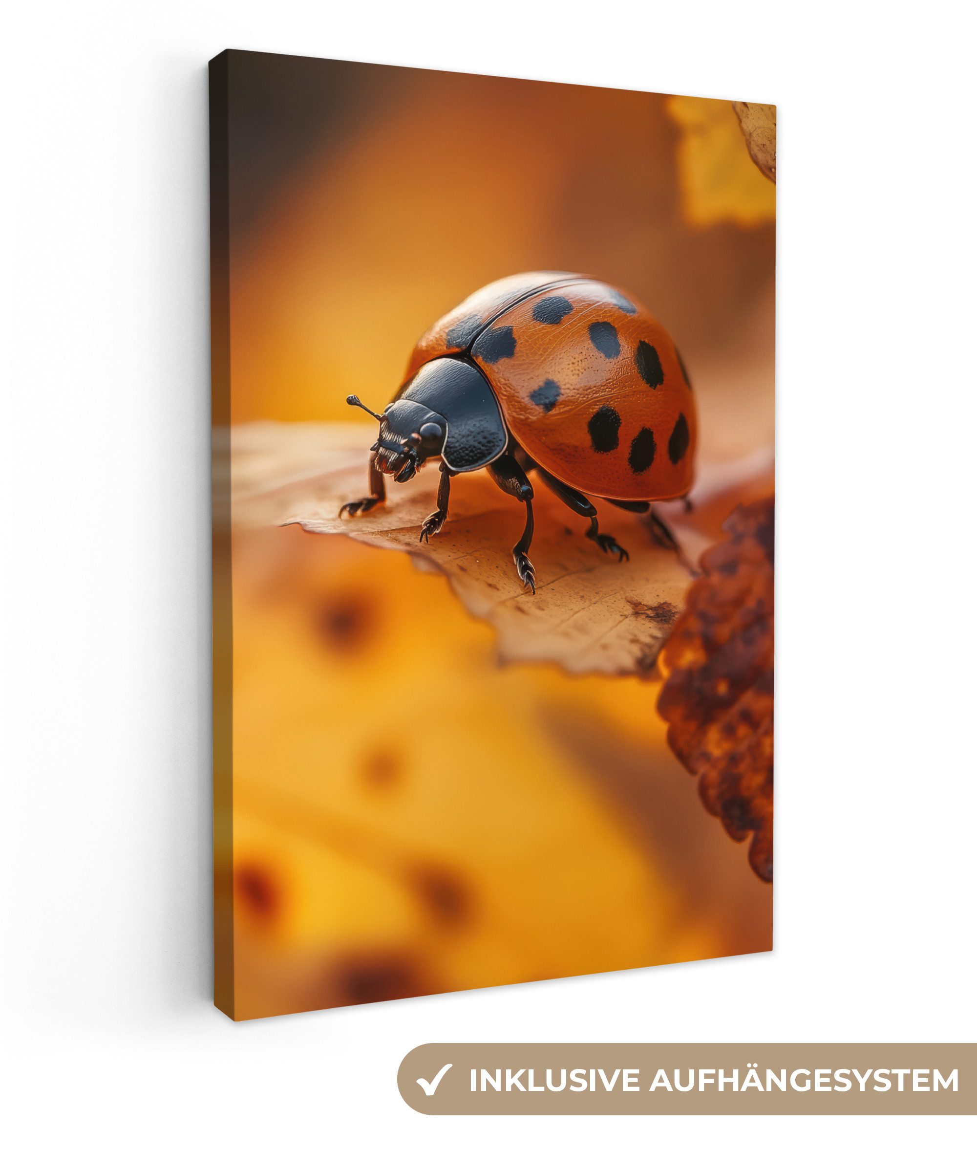 OneMillionCanvasses® Leinwandbild Marienkäfer - Herbst - günstig online kaufen