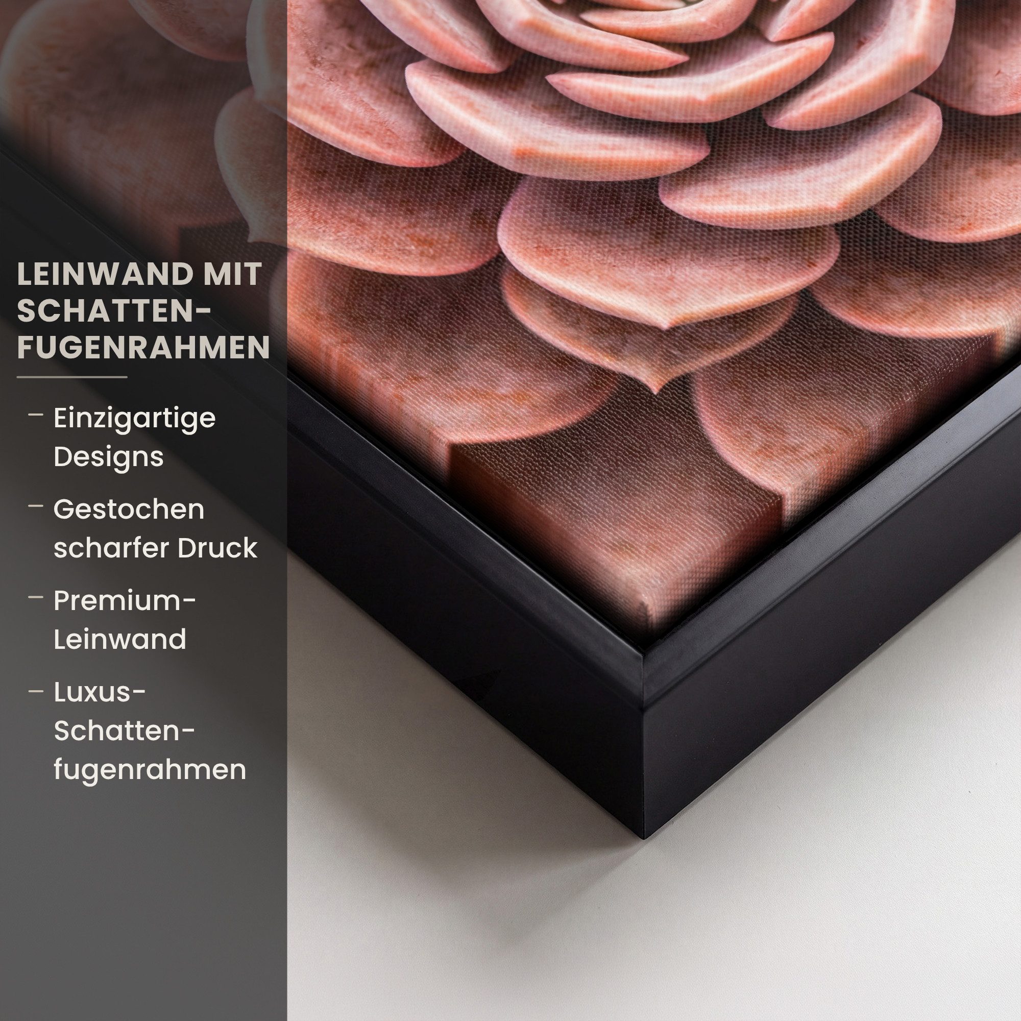 OneMillionCanvasses® Leinwandbild mit Rahmen - Sukkulente - Bio - Rosa, Fotodruck (1 St), Leinwand Bilder Klein, Wand Dekoration Aesthetic 20x20cm
