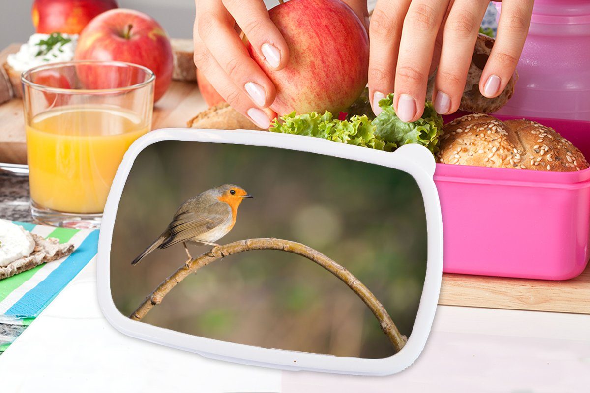 MuchoWow Lunchbox Rotkehlchen - Vogel - Natur, Kinder, Kunststoff, Brotbox Snackbox, Mädchen, Kunststoff für Brotdose (2-tlg), rosa Erwachsene