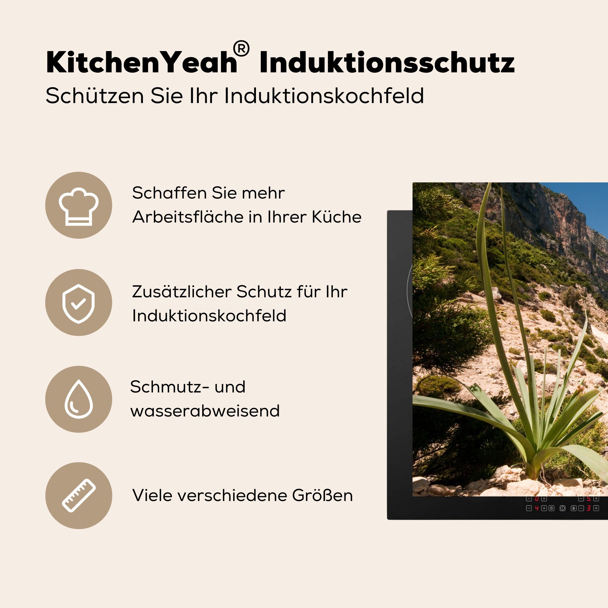 Küste Induktionskochfeld MuchoWow tlg), felsige Vinyl, Ceranfeldabdeckung Der Blick die küche, Schutz Punta (1 Herdblende-/Abdeckplatte cm, für von auf die Goloritzé, 81x52