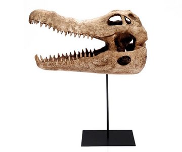Brillibrum Skulptur Deko Schädel Dinosaurier Schädel Tier-Kopf Skelett Krokodil Reptil