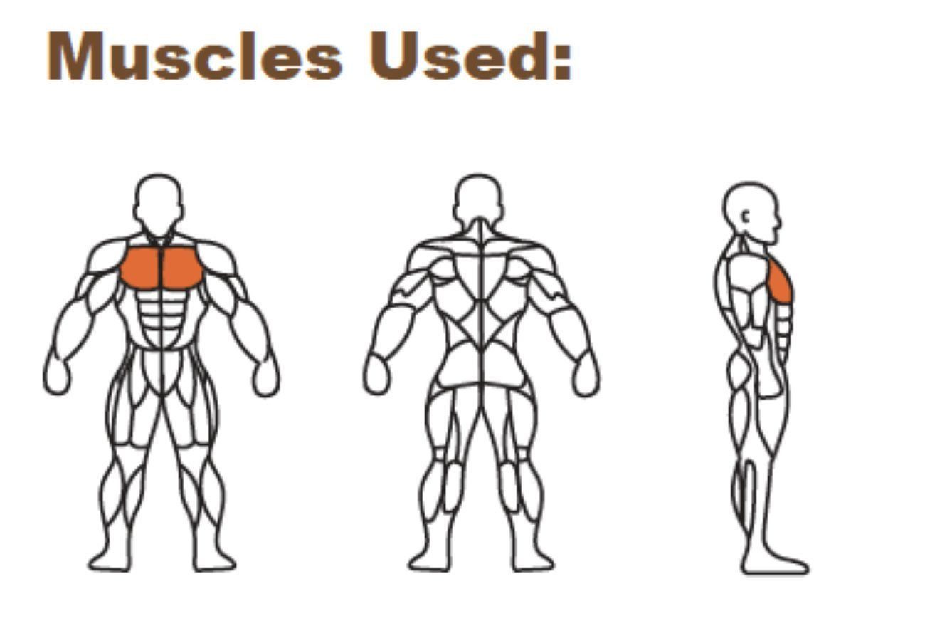 Stex Fitness Europe Multipresse Brustpresse Brustdrückmaschine Brusttrainer Chest Press.