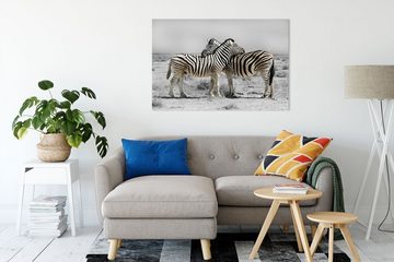 Pixxprint Leinwandbild Zebras in der Savanne, Zebras in der Savanne (1 St), Leinwandbild fertig bespannt, inkl. Zackenaufhänger