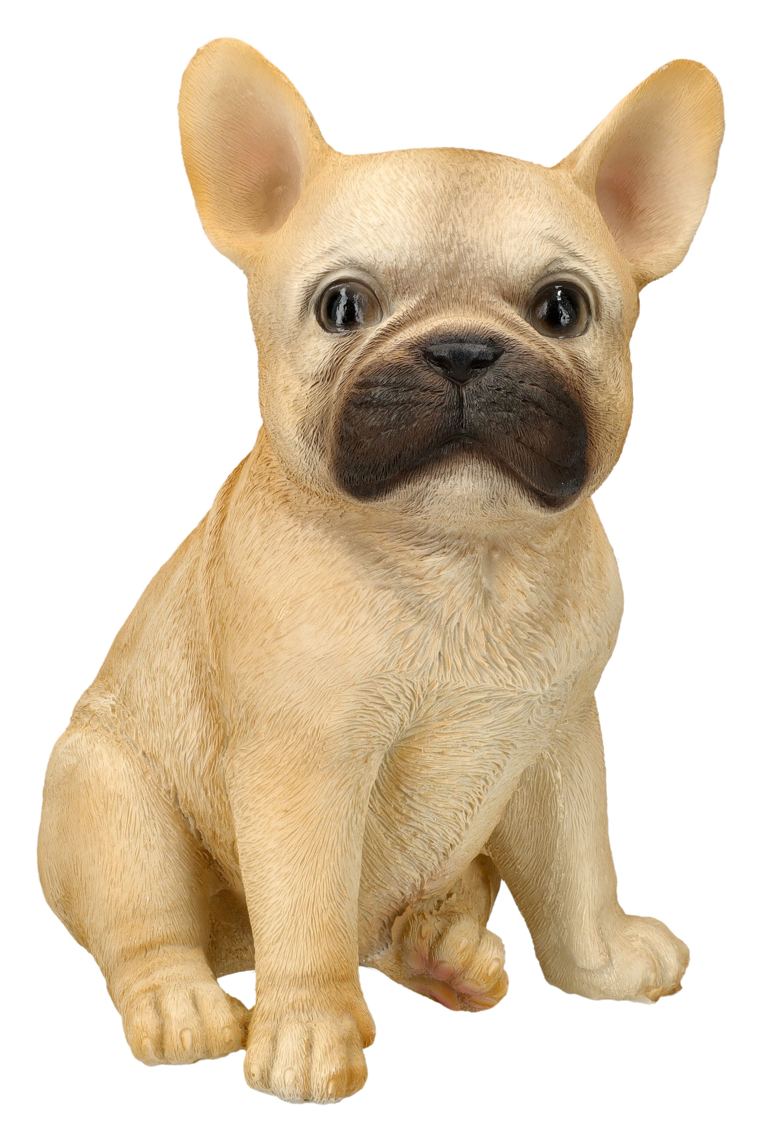Figuren Shop GmbH Tierfigur Französische Bulldogge Figur – Hund Welpe Statue Dekofigur 19 cm Deko