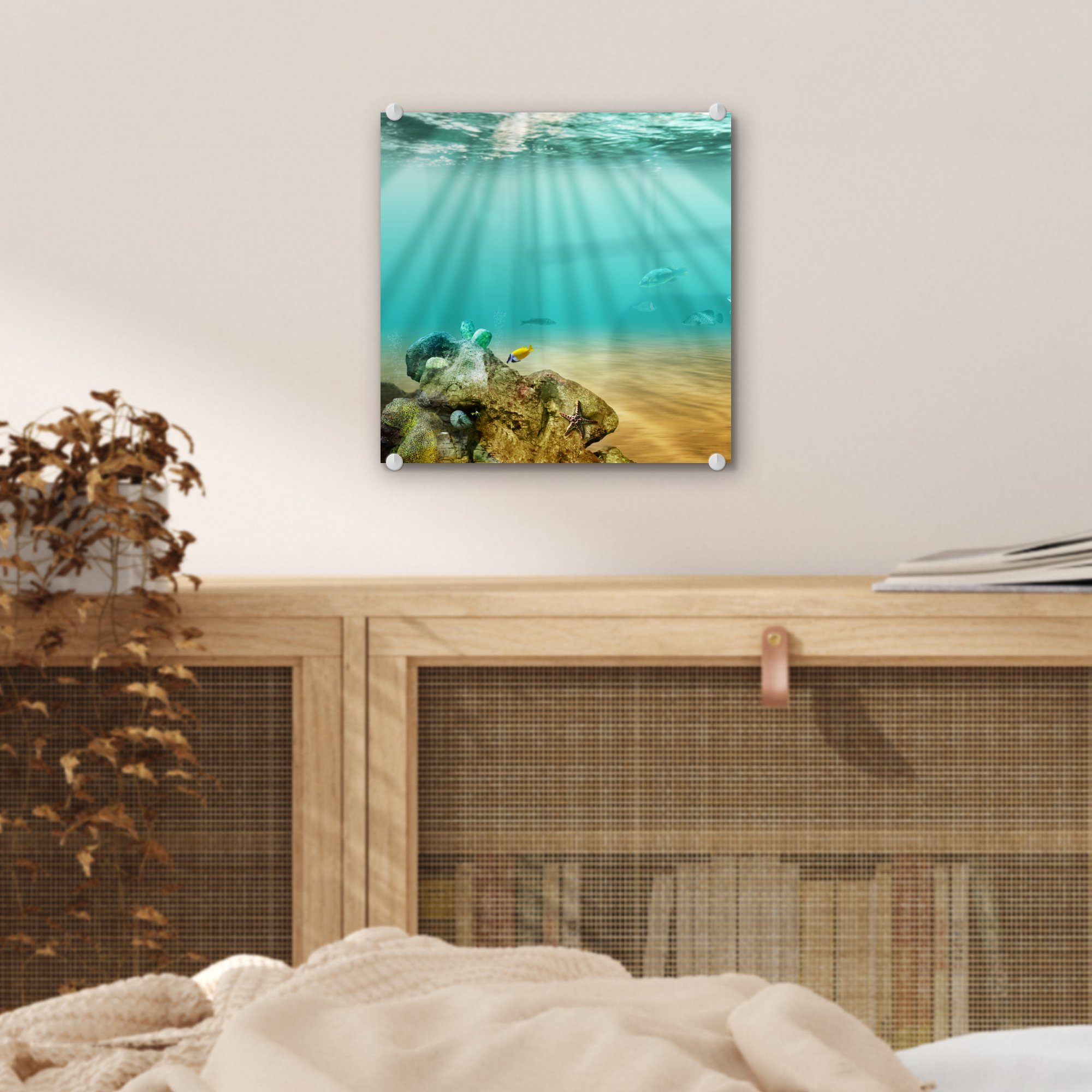 auf - Glas Wanddekoration Glasbilder (1 MuchoWow auf Meer Fisch Bilder St), - Glas - Wandbild Wasser, Foto - Acrylglasbild -