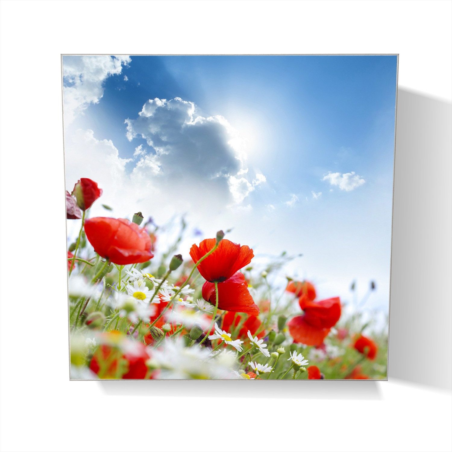 Wallario Schlüsselkasten Mohnblumen unter blauem Himmel (1 St., inkl. Aufhängeset), 30x30cm
