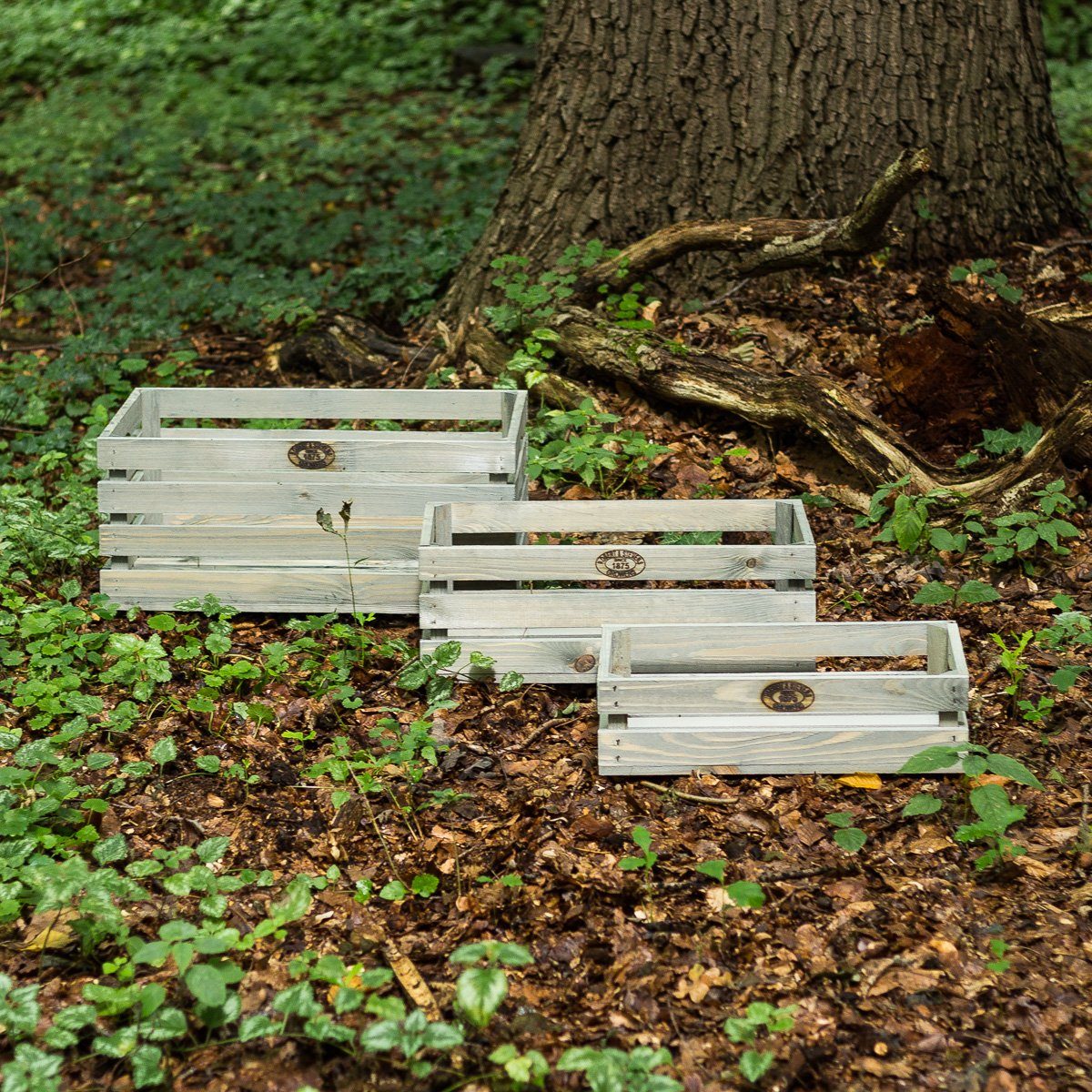Antikas Gartenpflege-Set Nostaligsche Stapelkisten Natur Used Look 3er Set Kisten Obst Gemüse