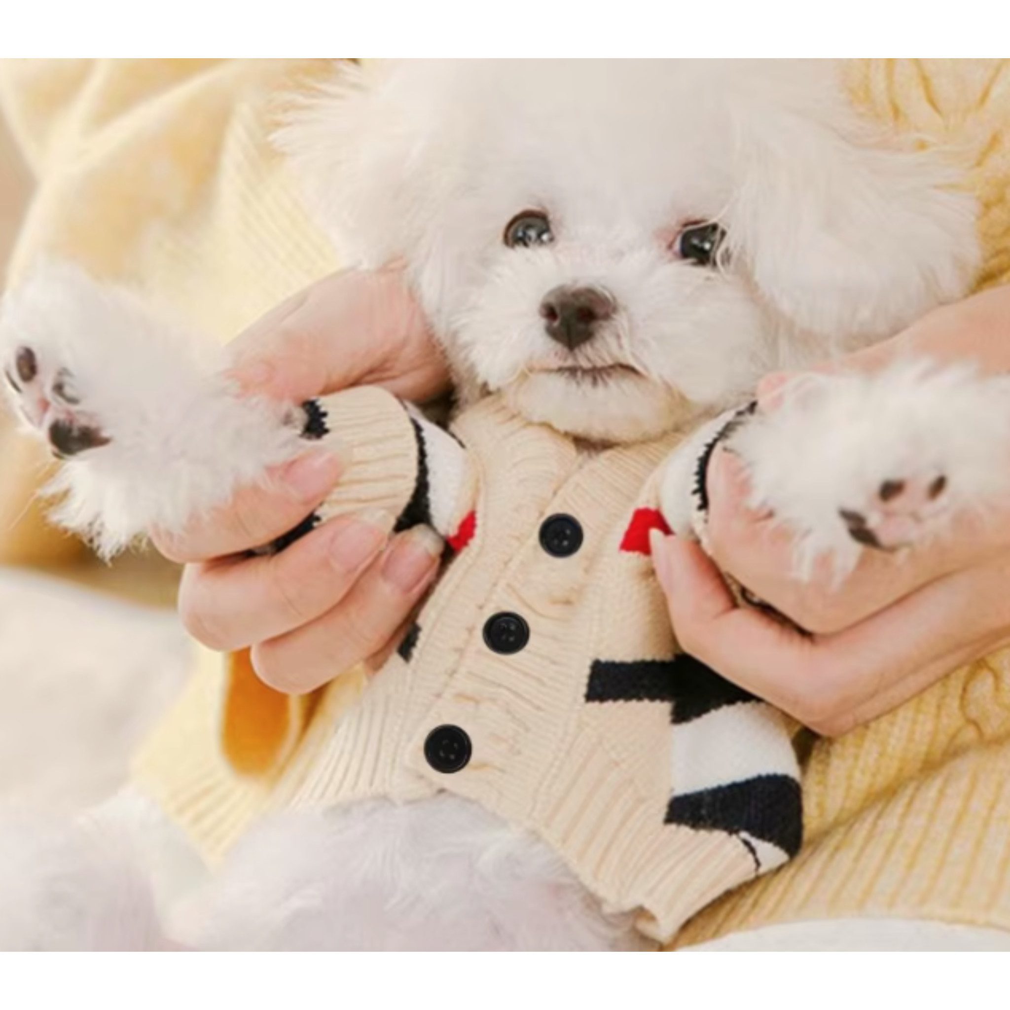 FLOCKI Pets™ Hundepullover Hunde Strickpullover, für Hunde in verschiedenen Größen, niedliches Teddy-Bär Design