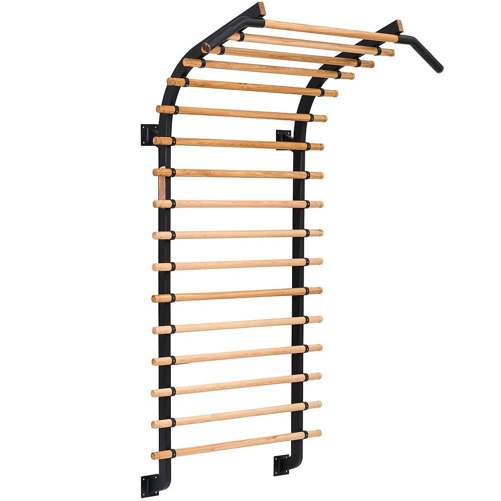 Sport-Thieme Sprossenwand Sprossenwand X, Hauseigene Entwicklung