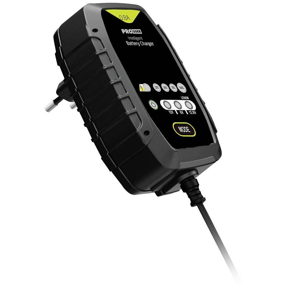 Mikroprozessor Ladegerät 0.8A Autobatterie-Ladegerät