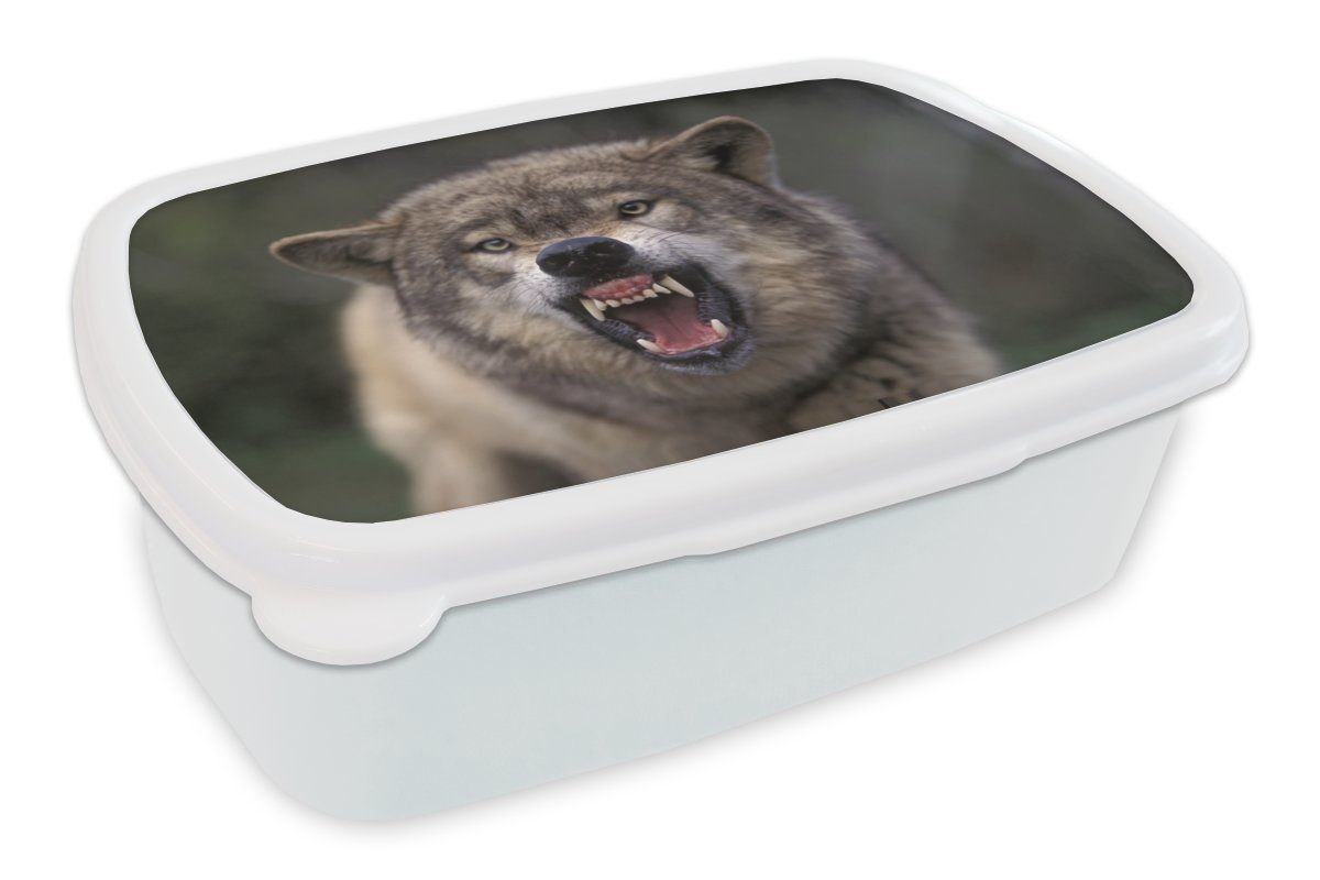 MuchoWow Lunchbox Wolf - Maul - Zähne, Kunststoff, (2-tlg), Brotbox für Kinder und Erwachsene, Brotdose, für Jungs und Mädchen weiß